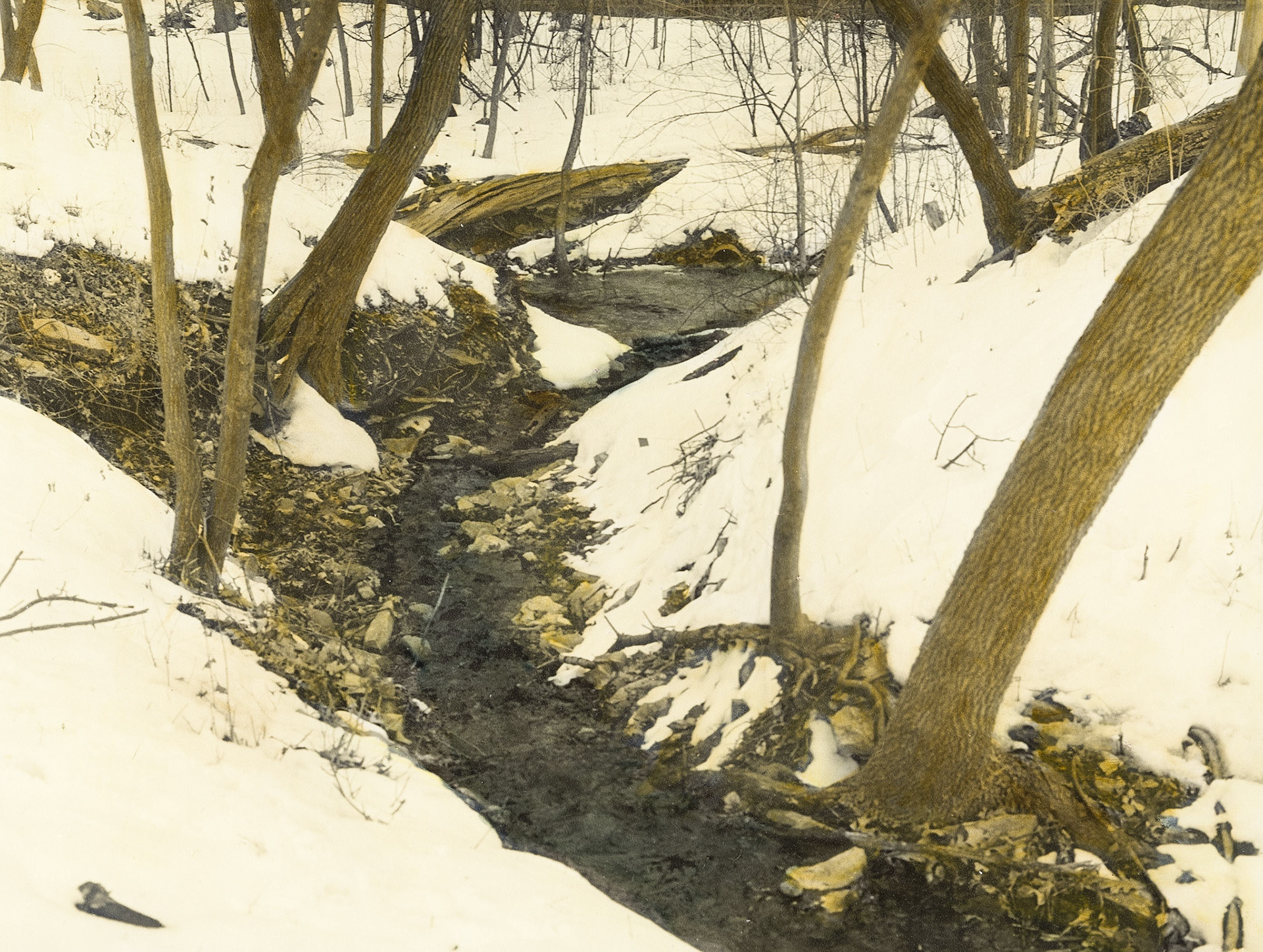 Coldwater Spring, Minneapolis, Minnesota