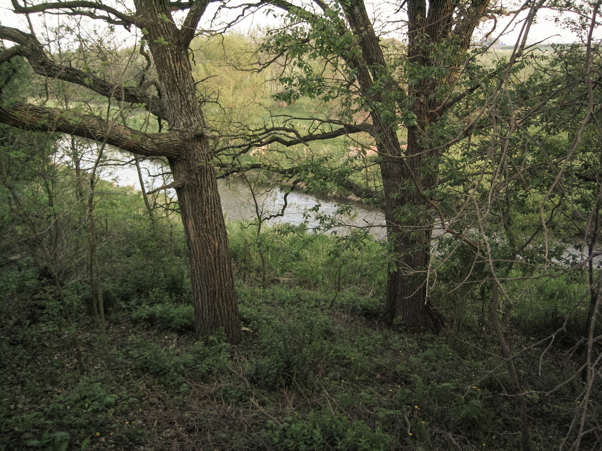 Landscape, Minnesota