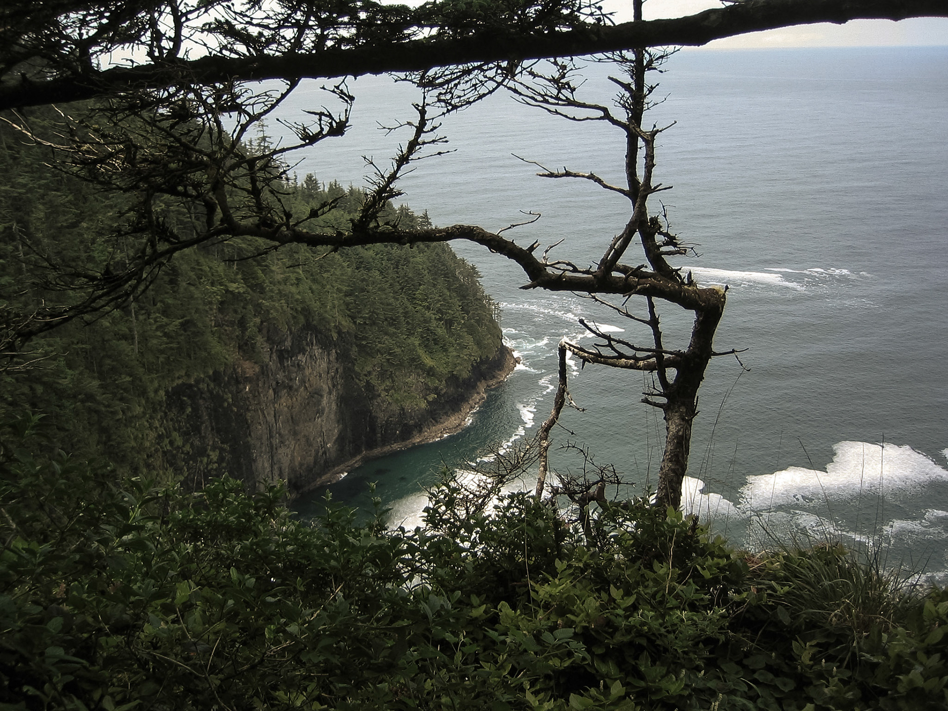 Oregon Coast