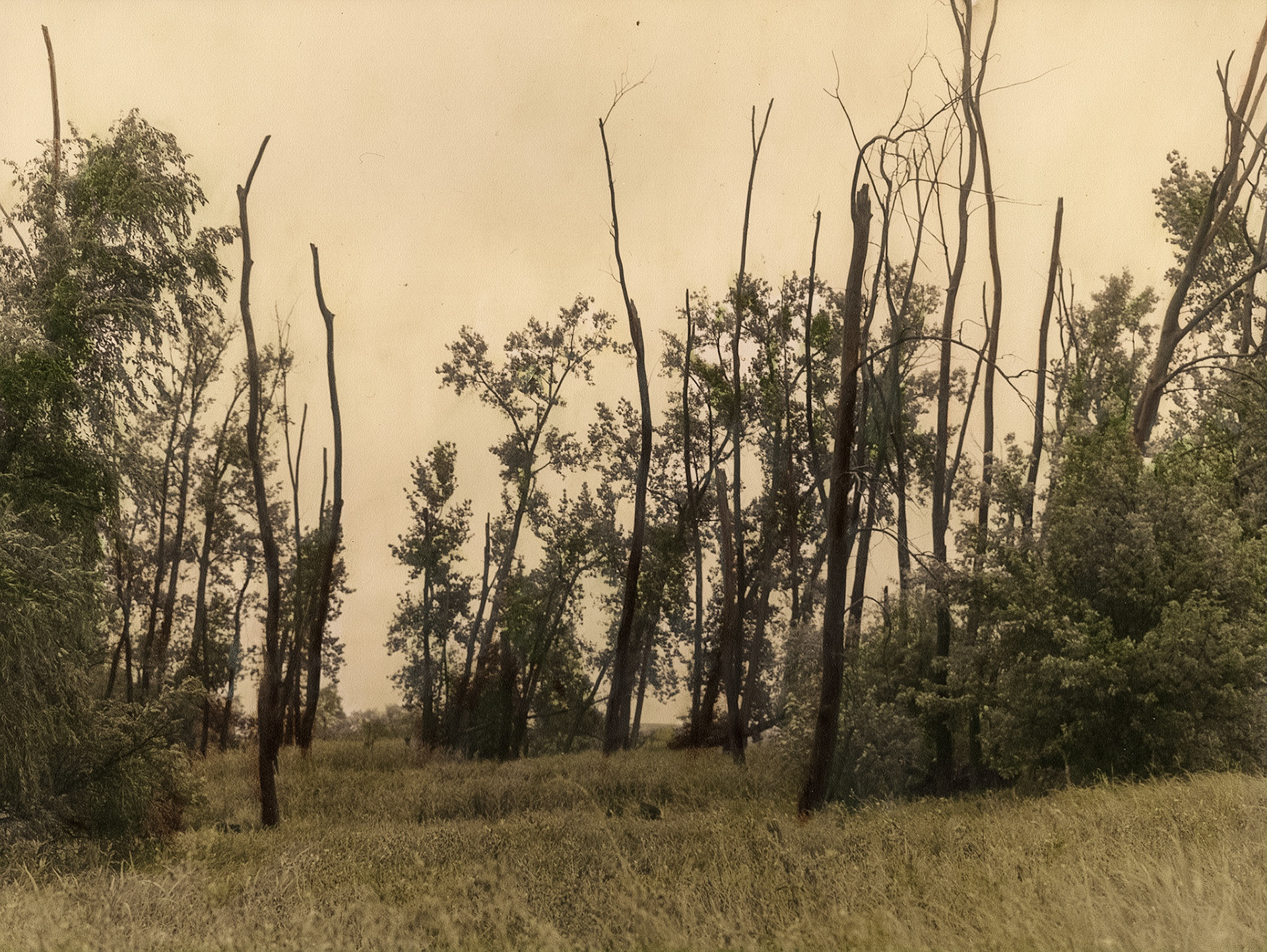 Minneota Township, Jackson County, Minnesota