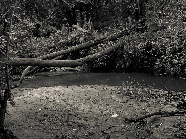 Hythecker Prairie, SNA, MN