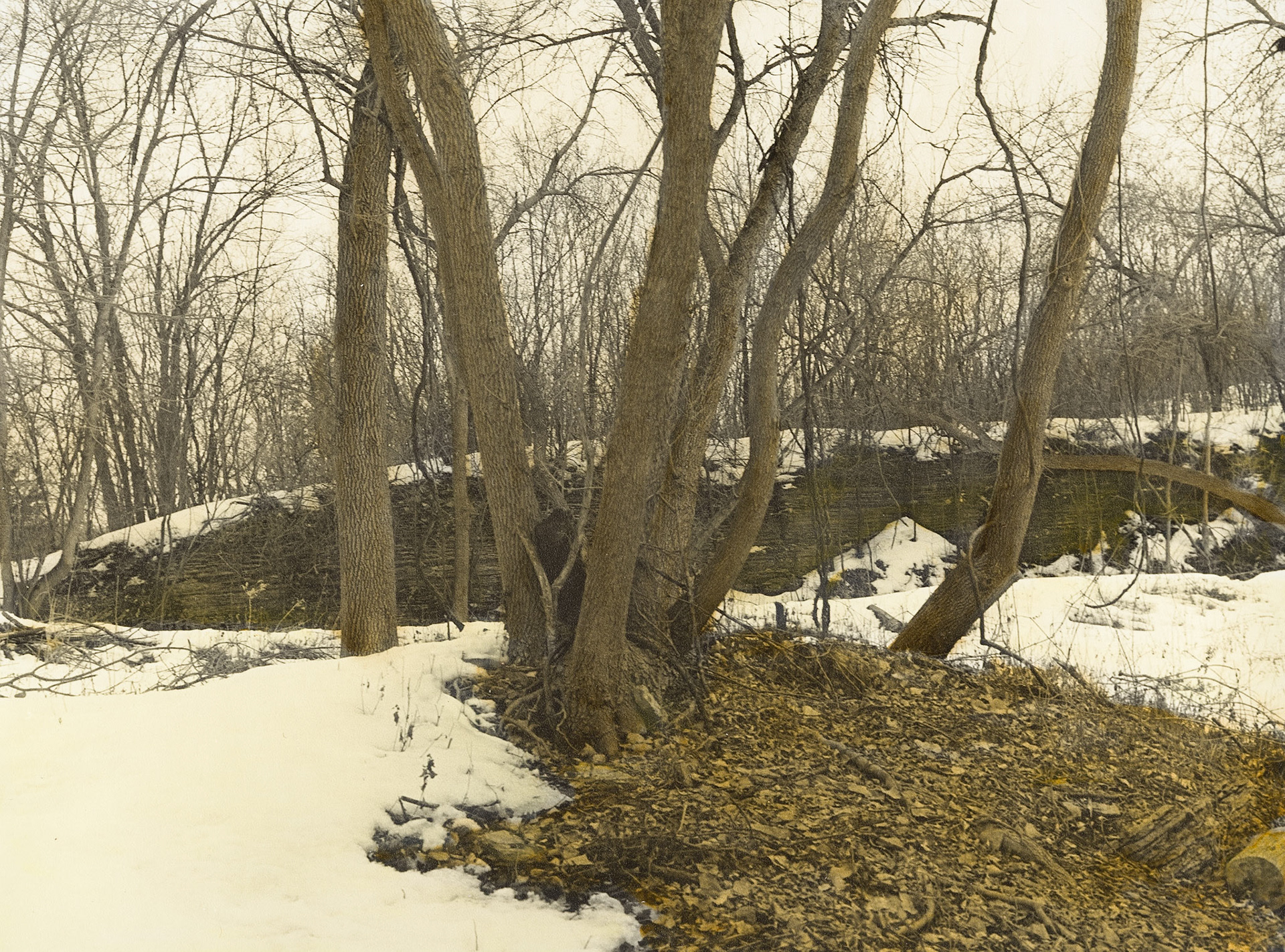 Coldwater Spring, Minneapolis, Minnesota