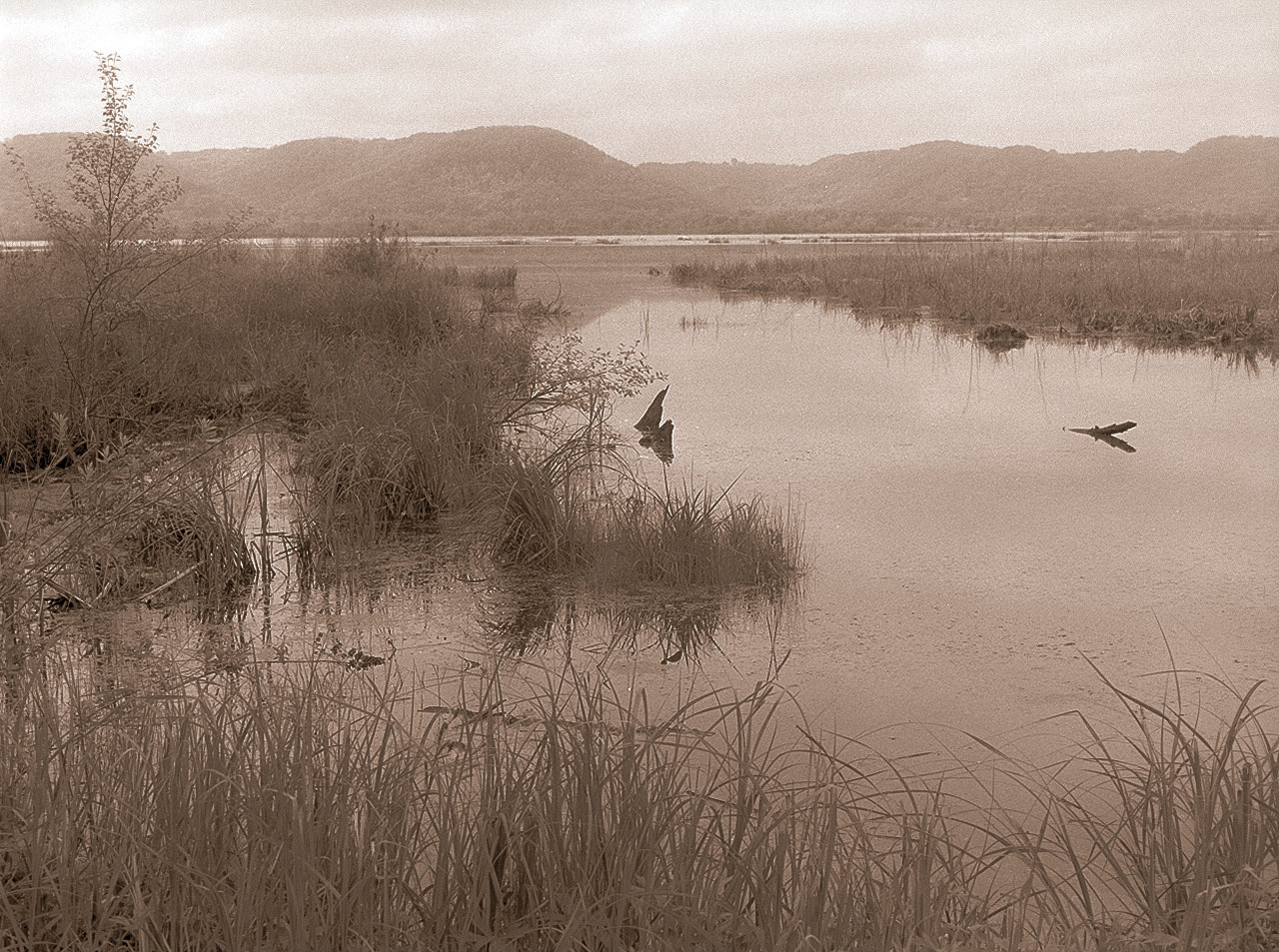 Landscape, Minnesota
