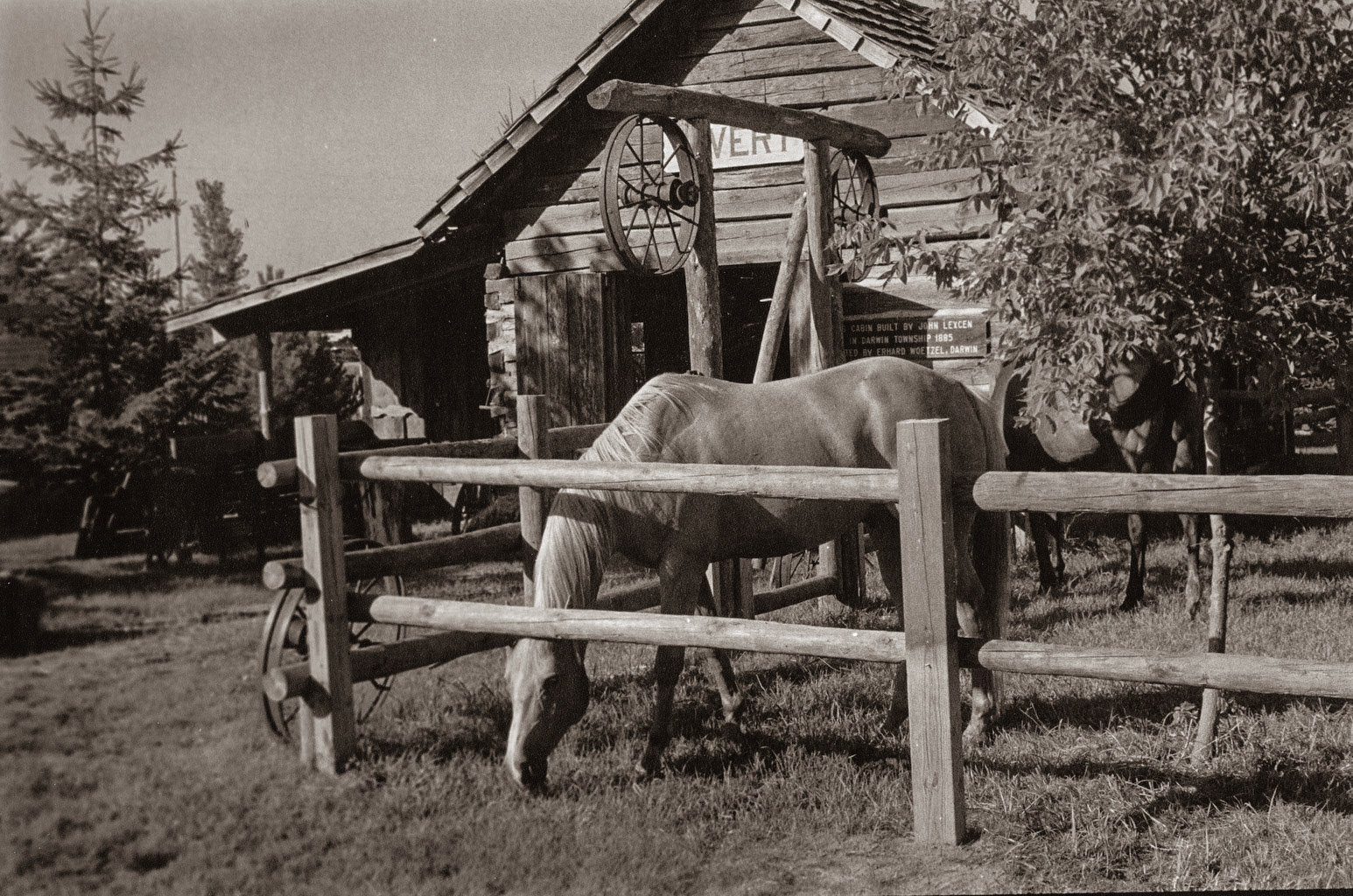 Le Seur Pioneer Power Show, Le Seur County, Minnesota