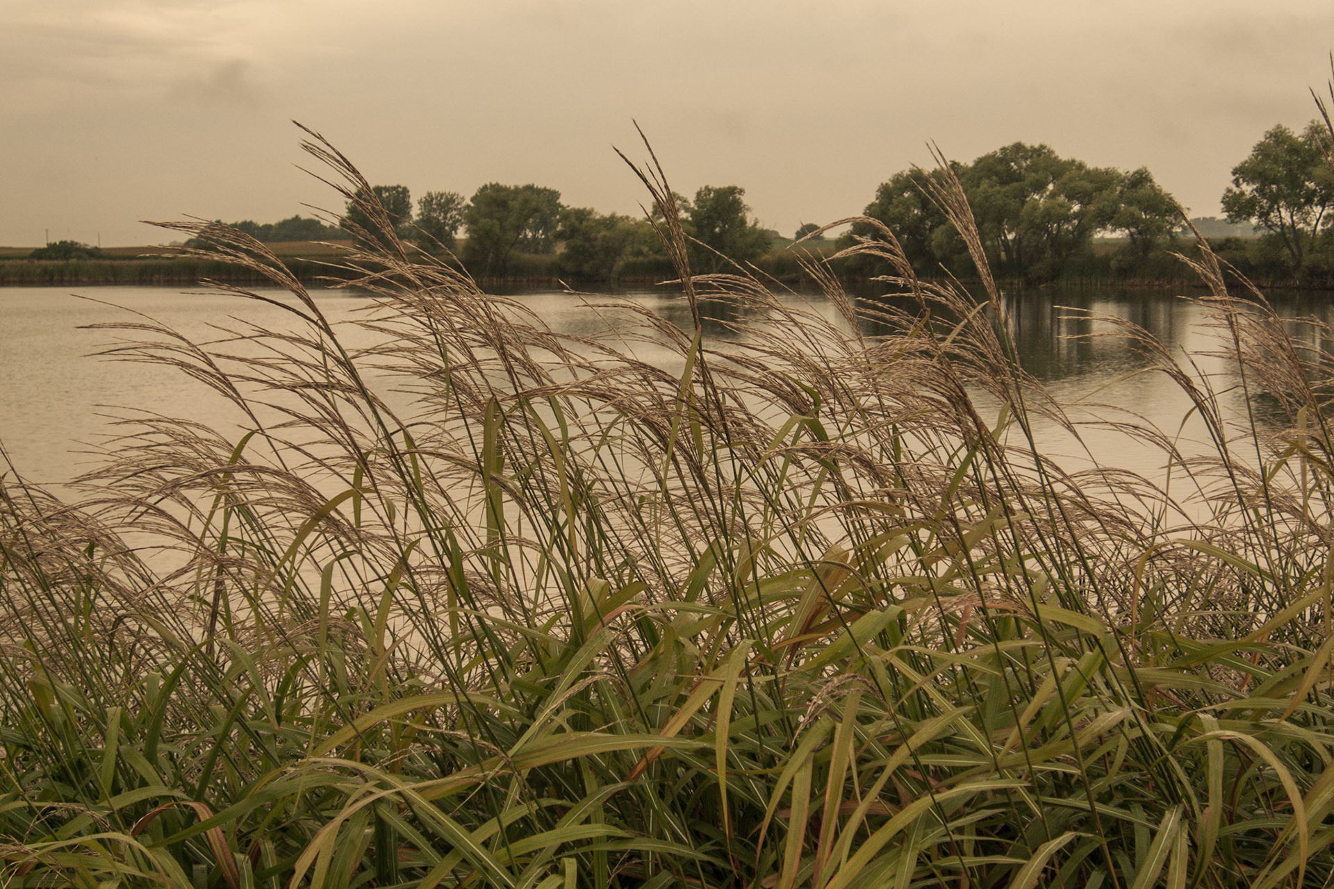 Diamond Lake, Jackson County, Minnesota