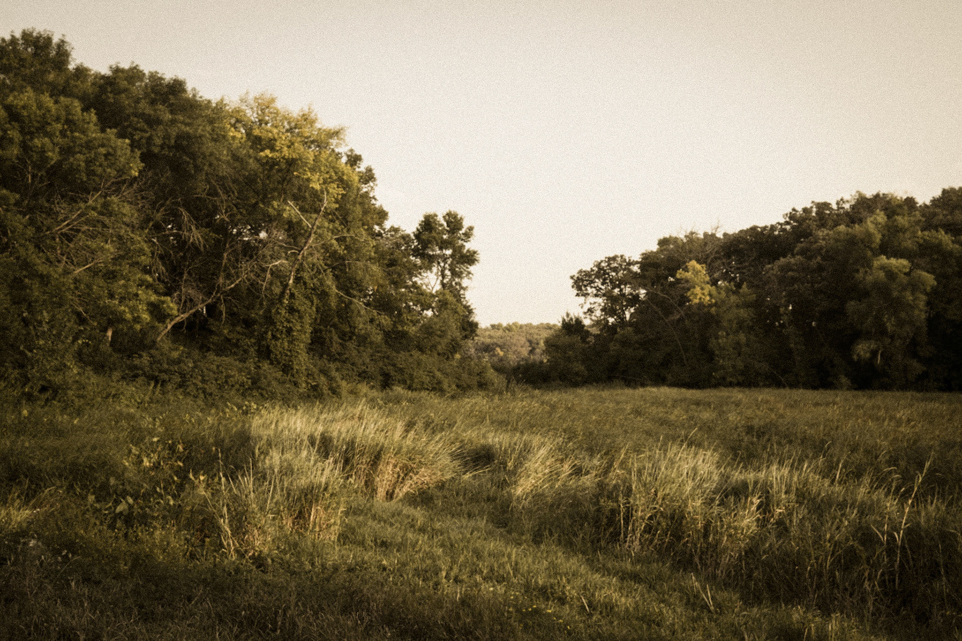 Hogs Back Slough, Dickinson County, Iowa