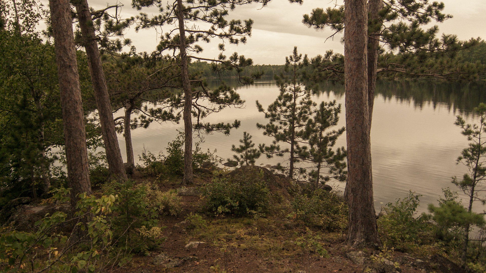 Lake One, Boundary Waters Canoe Area Wilderness, Minnesota