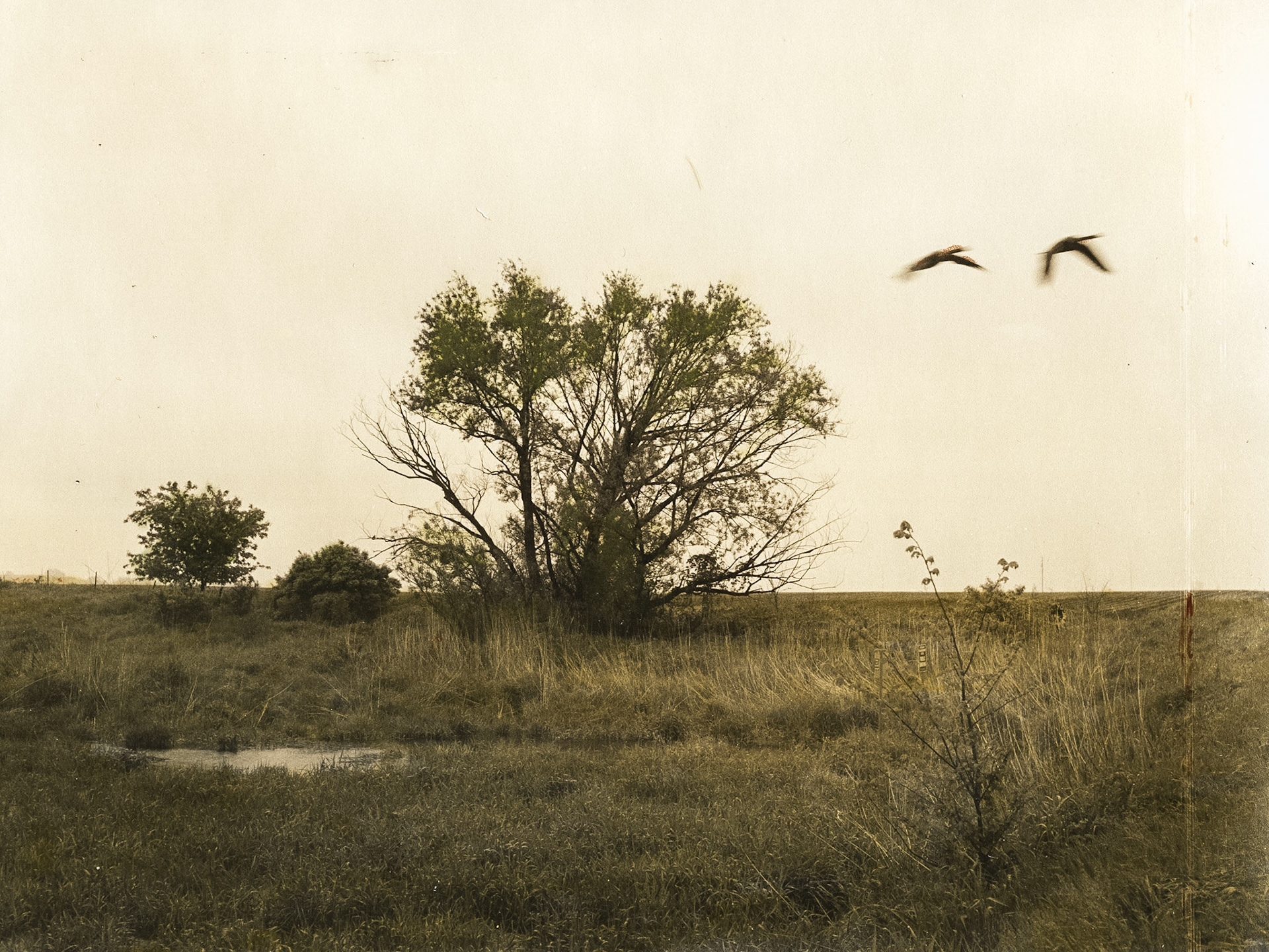 Little Sioux River, Clay County, IA