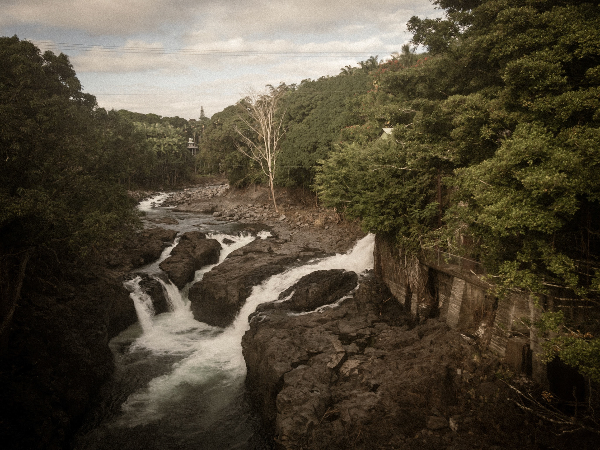 View from Wainaku Street Bridge, Hilo, HI. an 24