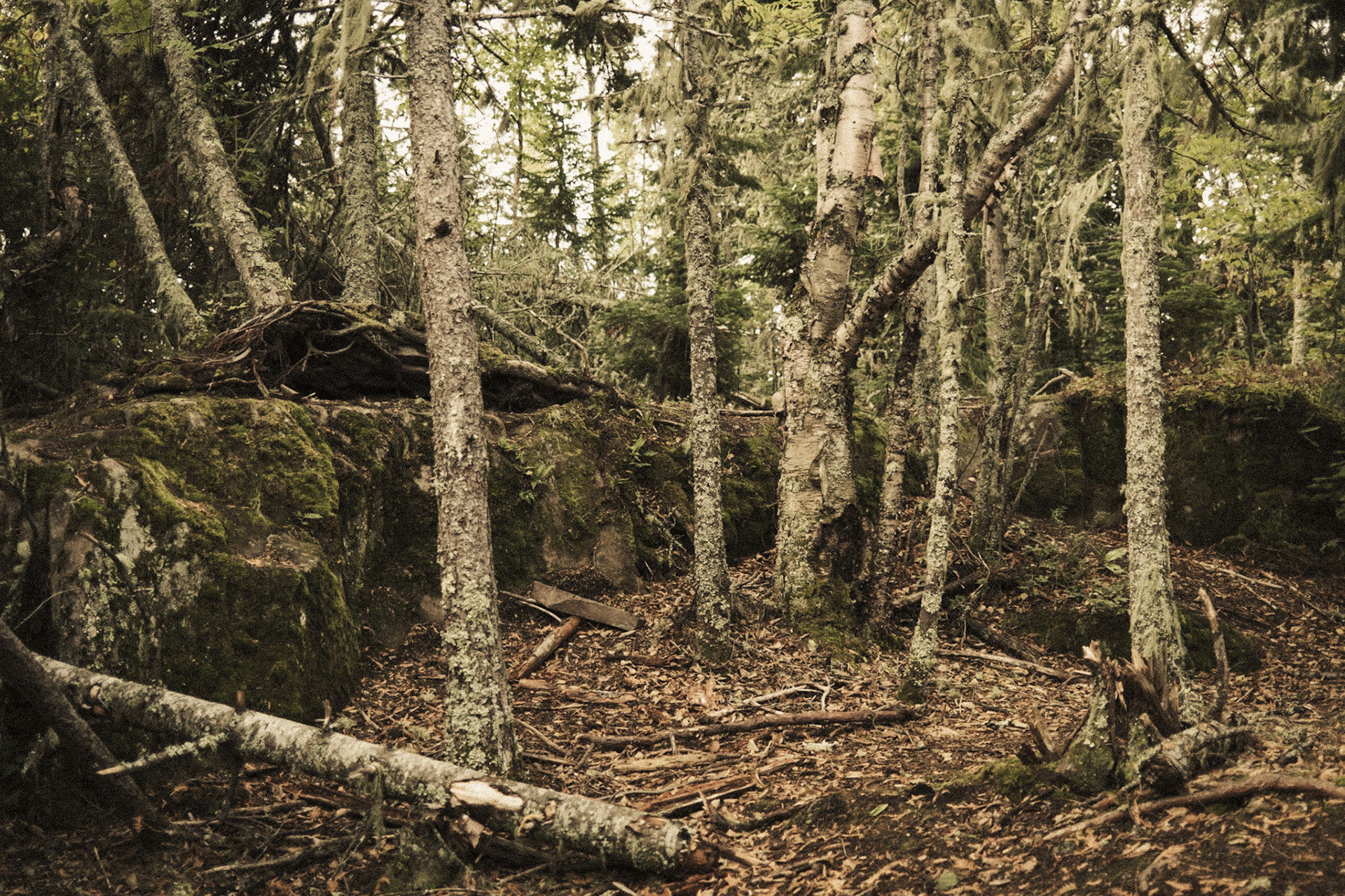 Artist's Point, Grand Marais, MN