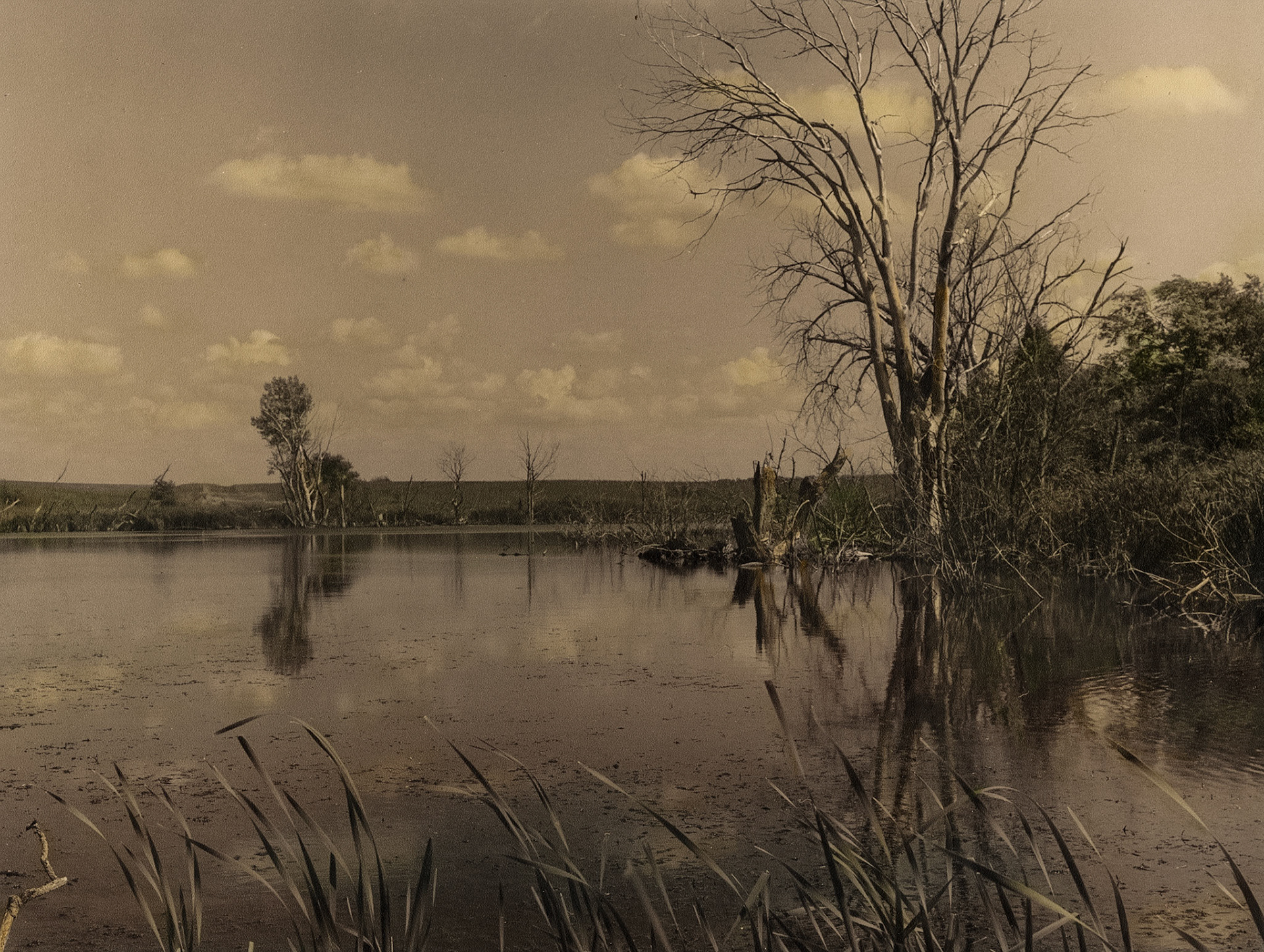 Bluestem Paririe SNA, Minnesota