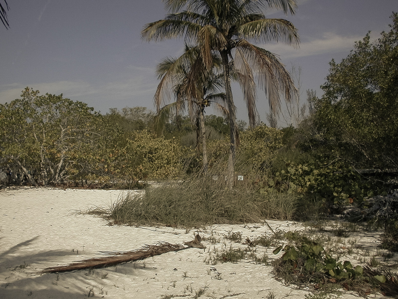 Fort Myers, Florida