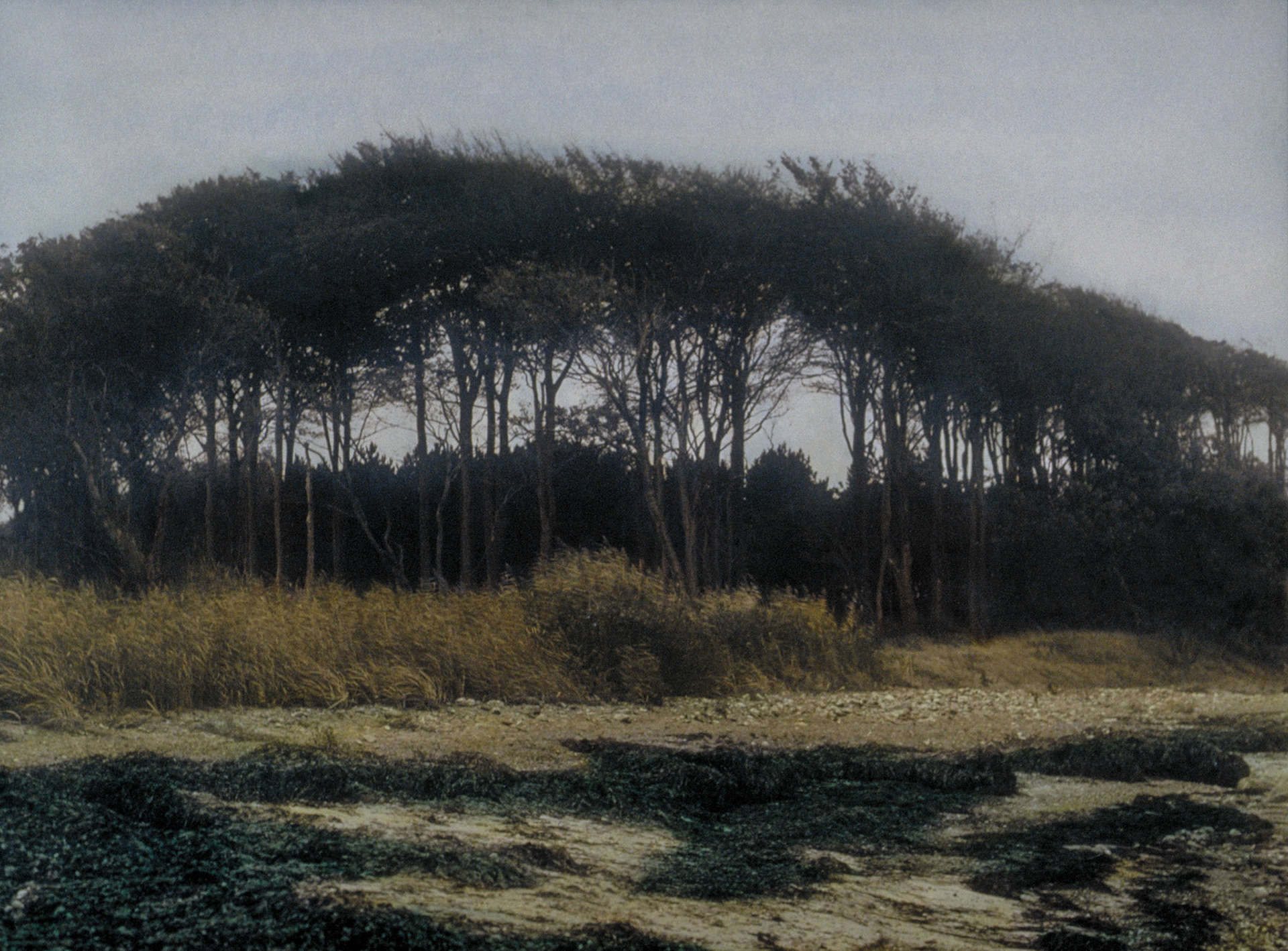 Schleswig, Germany