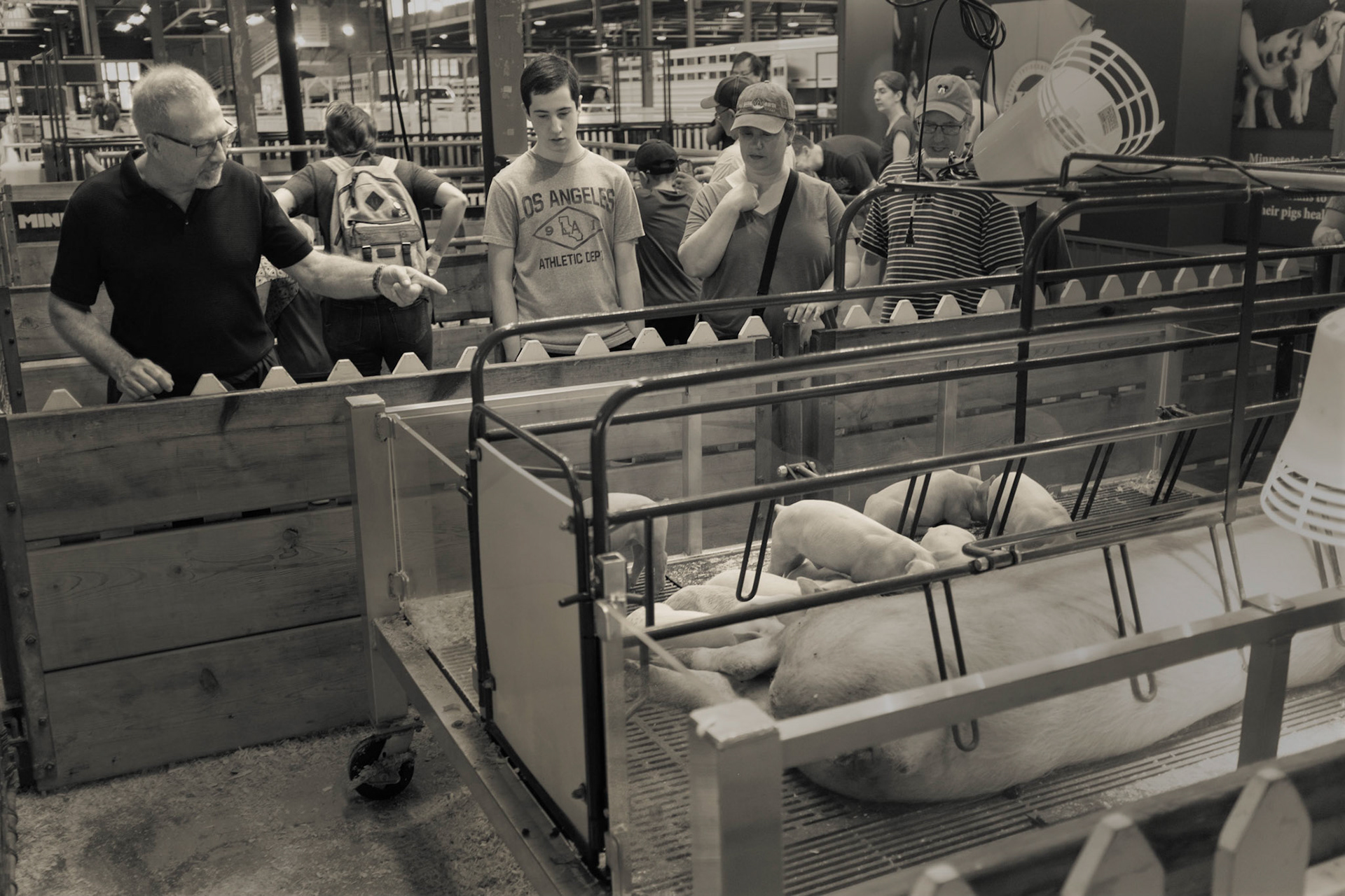 Minnesota State Fair