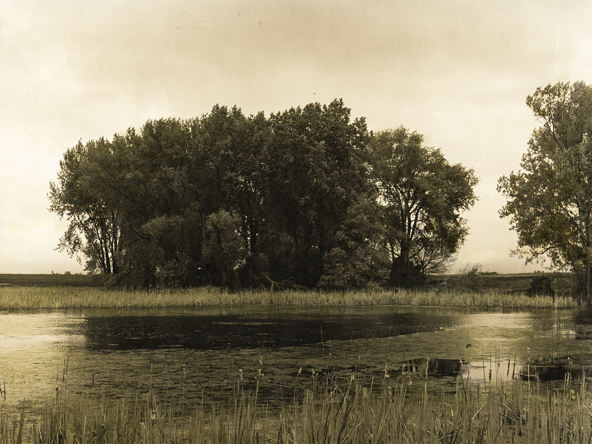 Trickle Slough, Jackson County, MN