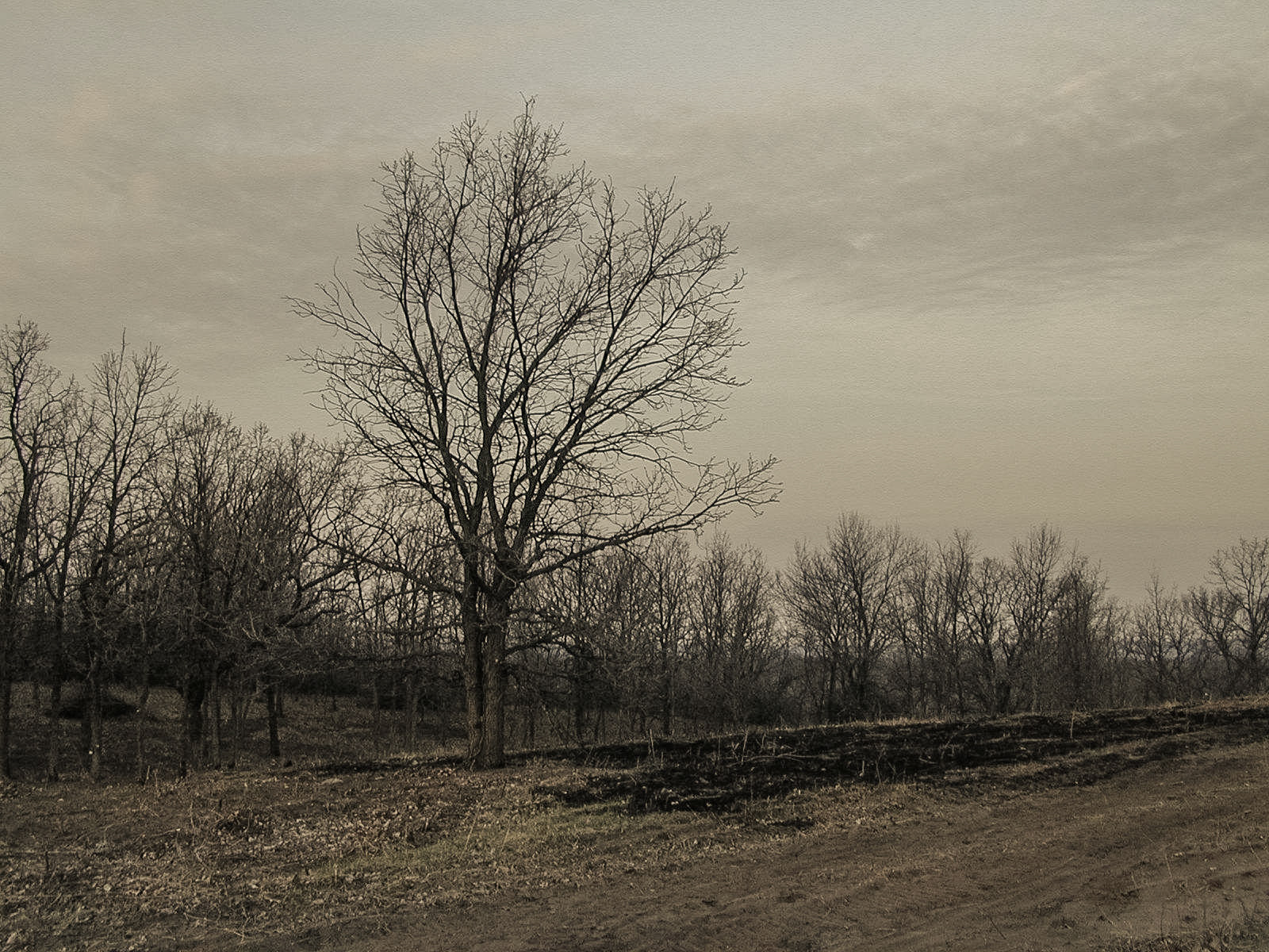 Landscape, Minnesota