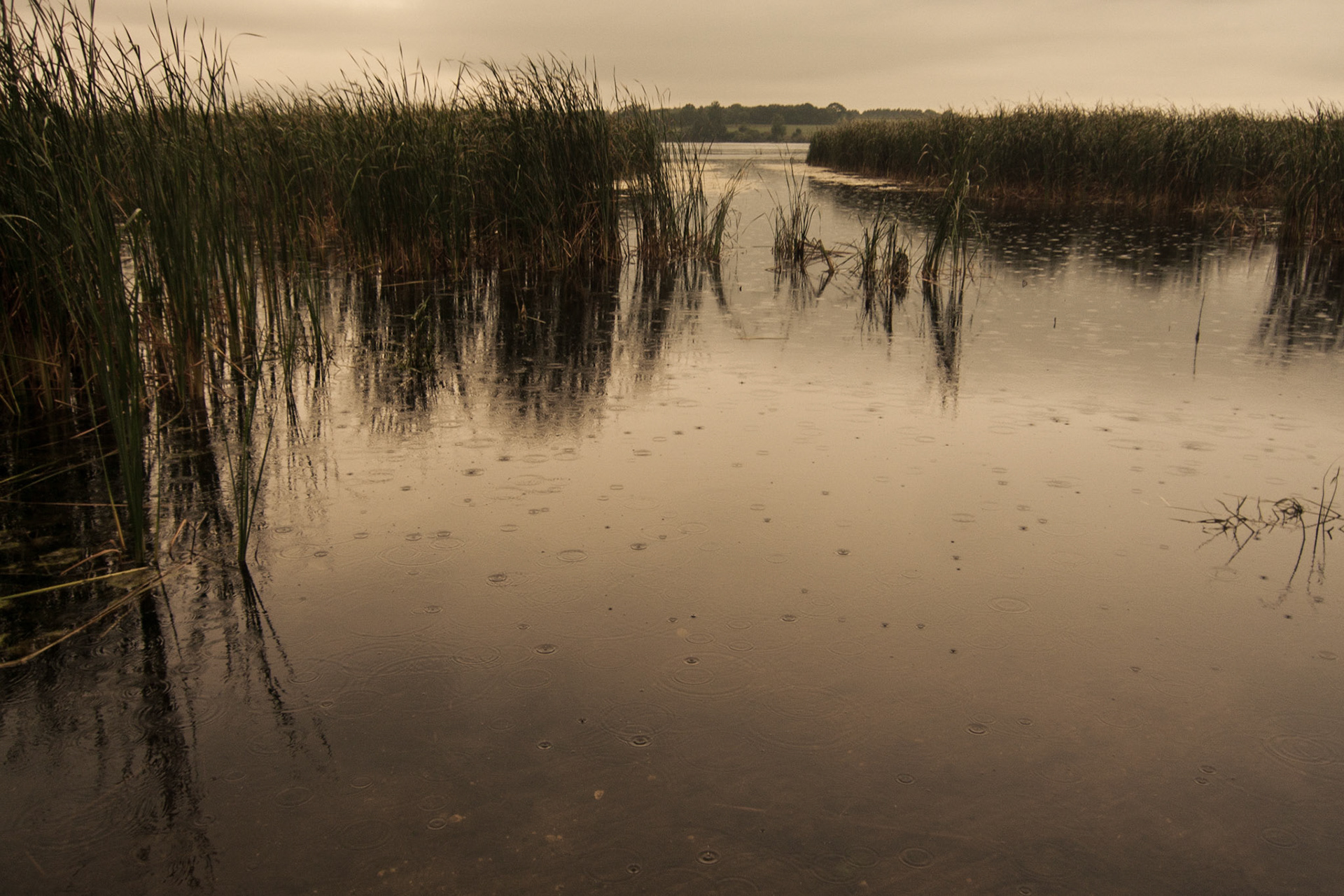 Grover Lake, Dickenson County, Iowa