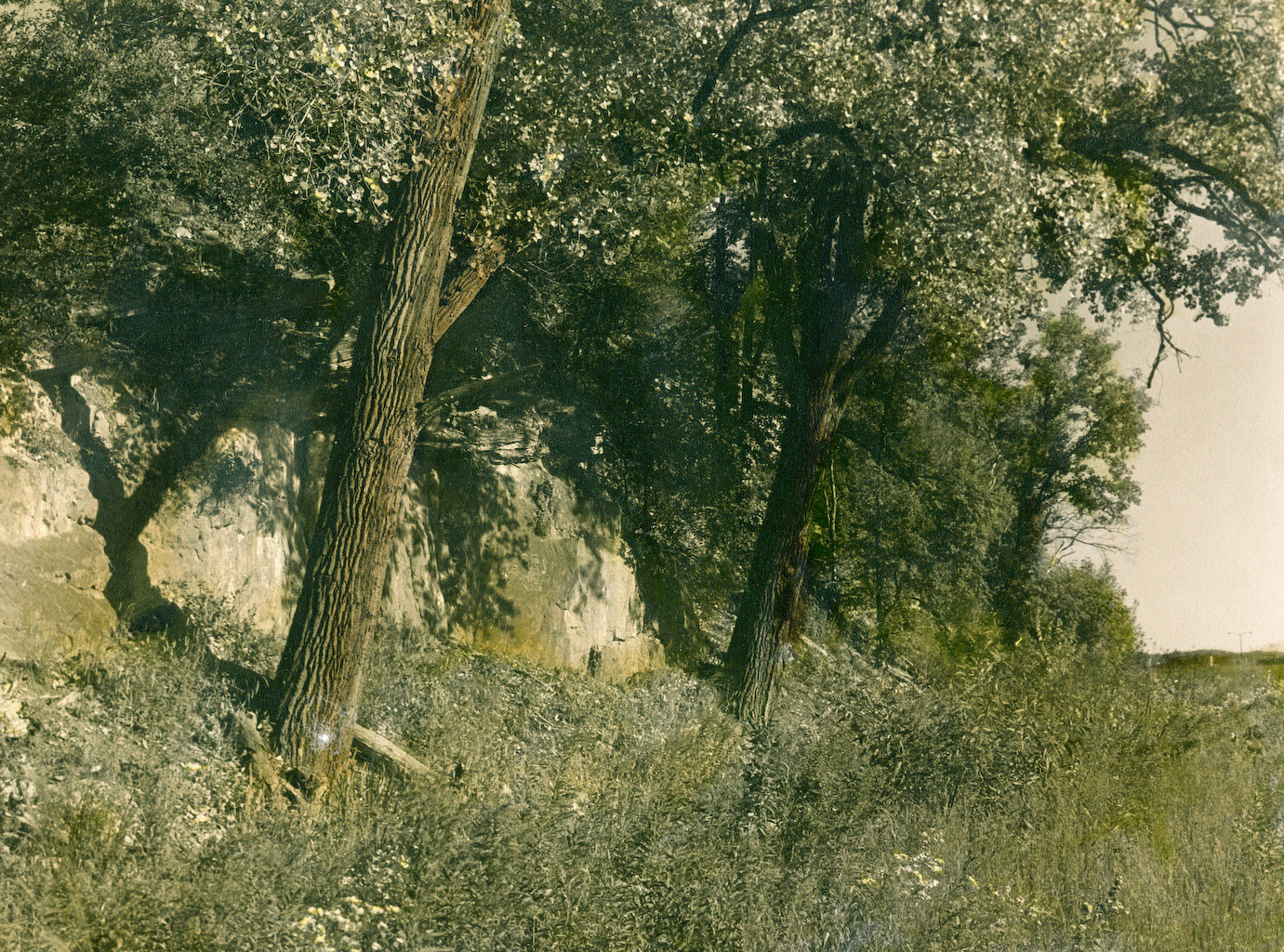 Landscape, Minnesota