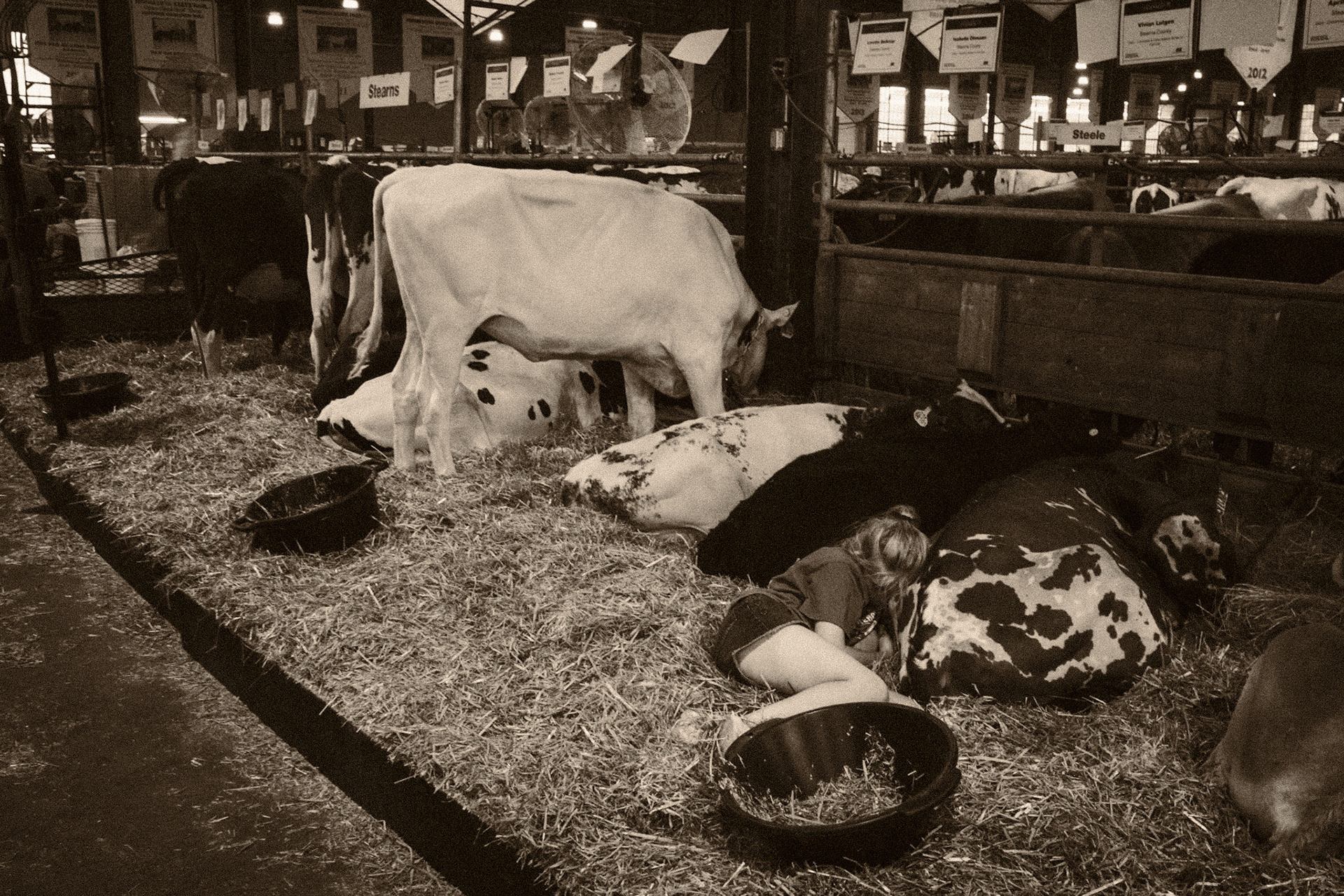 Minnesota State Fair