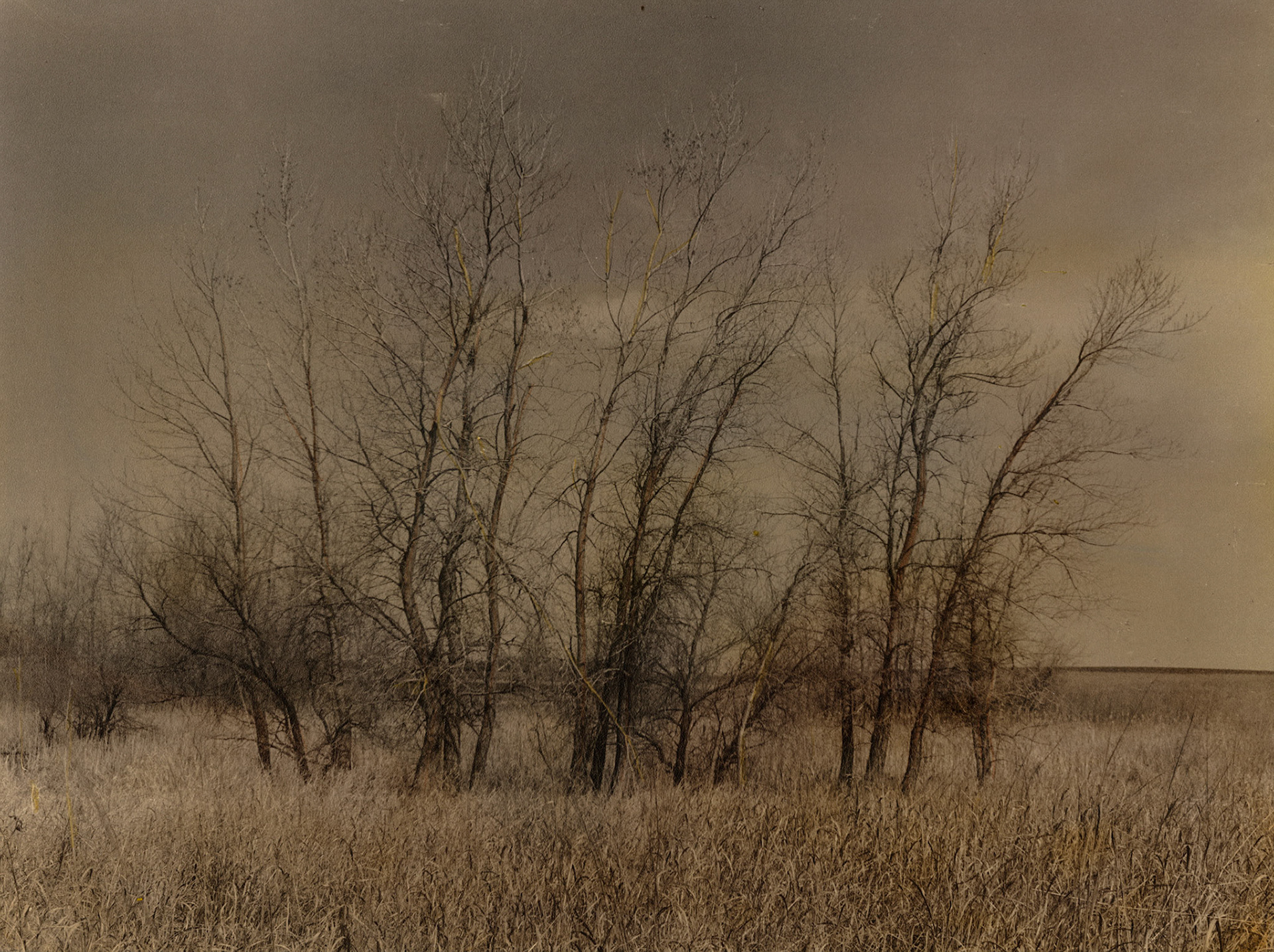 Minneota Township, Jackson County, Minnesota