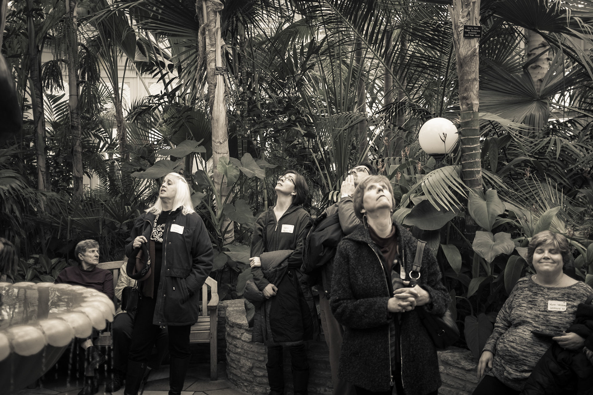 Como Park, Saint Paul, Minnesota