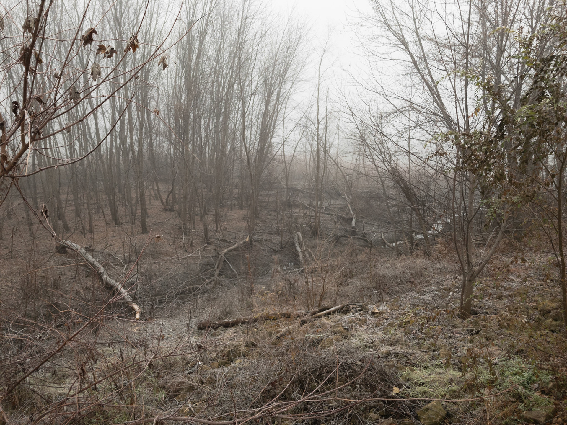 Mississippi National River an Recreation Area, St. Paul, MN