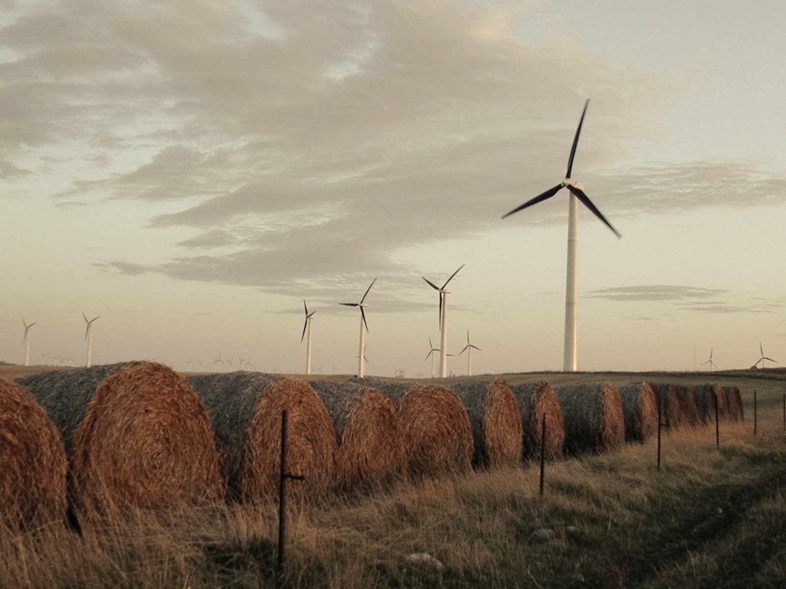 Earth Day, Rock County, Minnesota