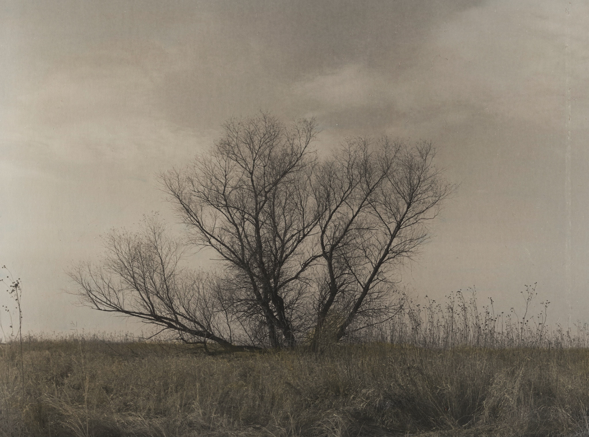 Sioux Forks WPA, Jackson County, Minnesota