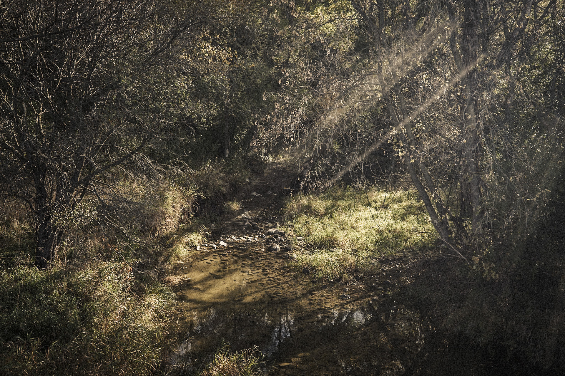 Stony Brook Creek, Petersburg Township, Jackson County, MN