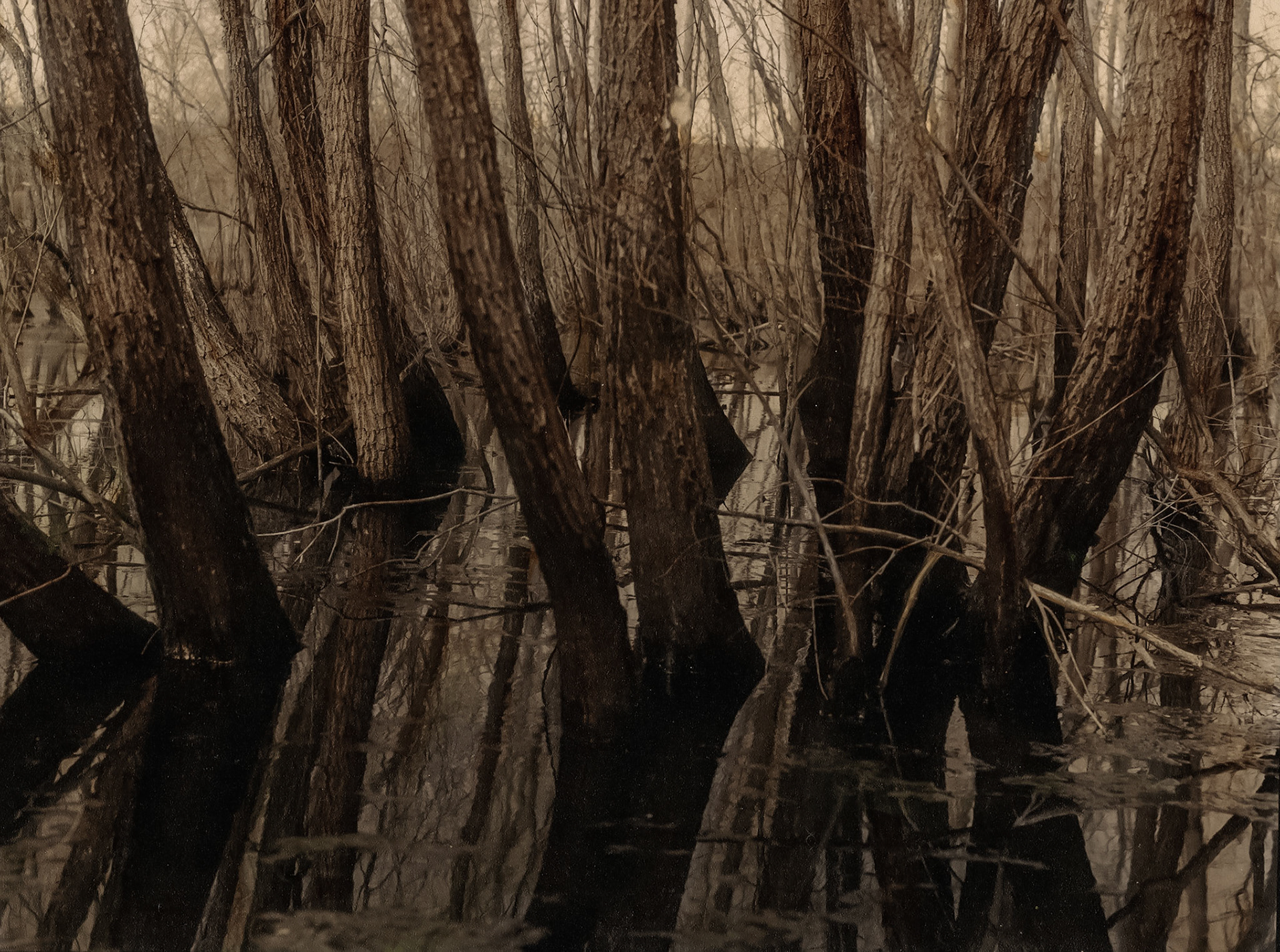 Camden State Park, Minnesota