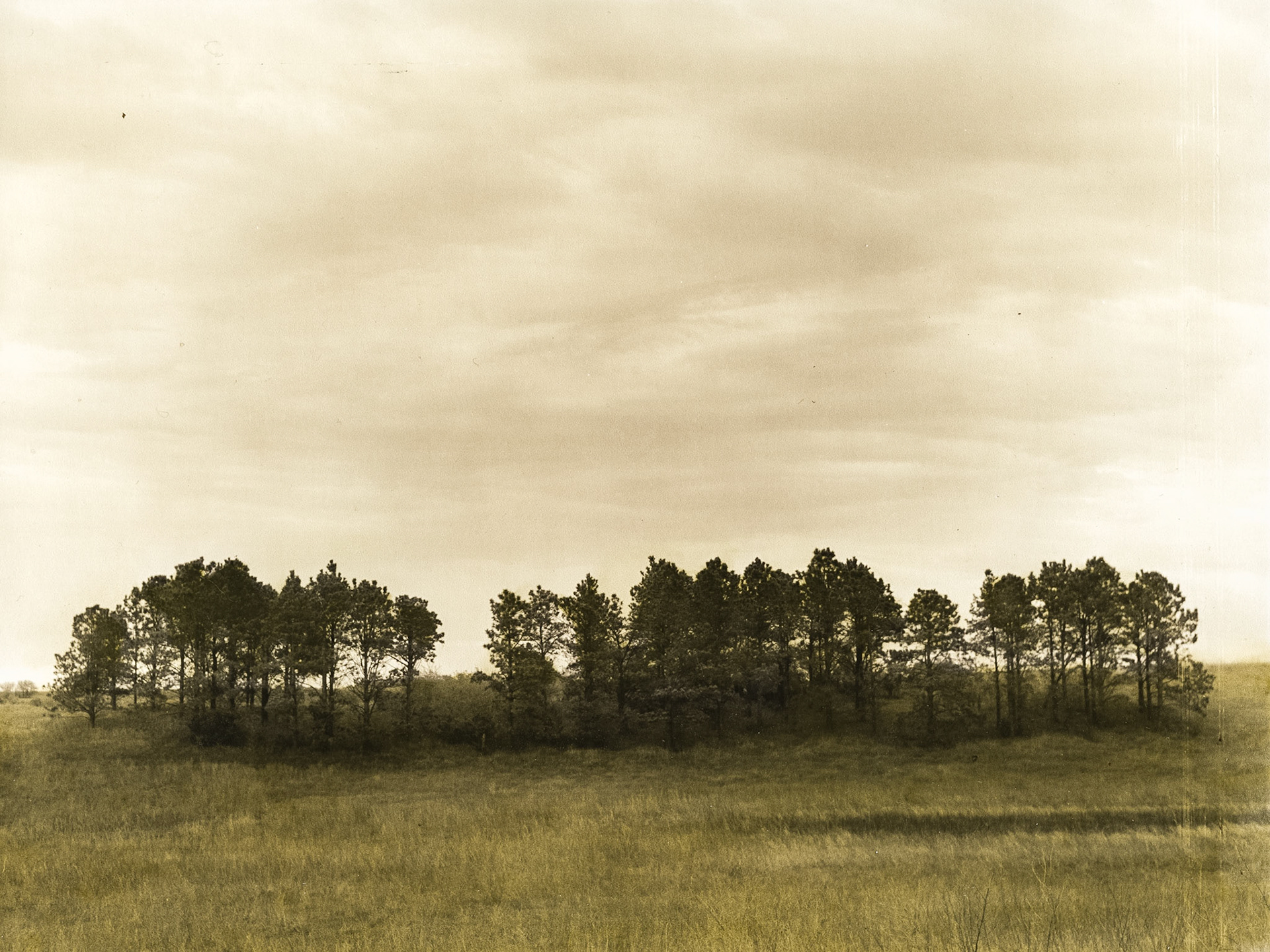 Sangle Slough, Jackson County, MN