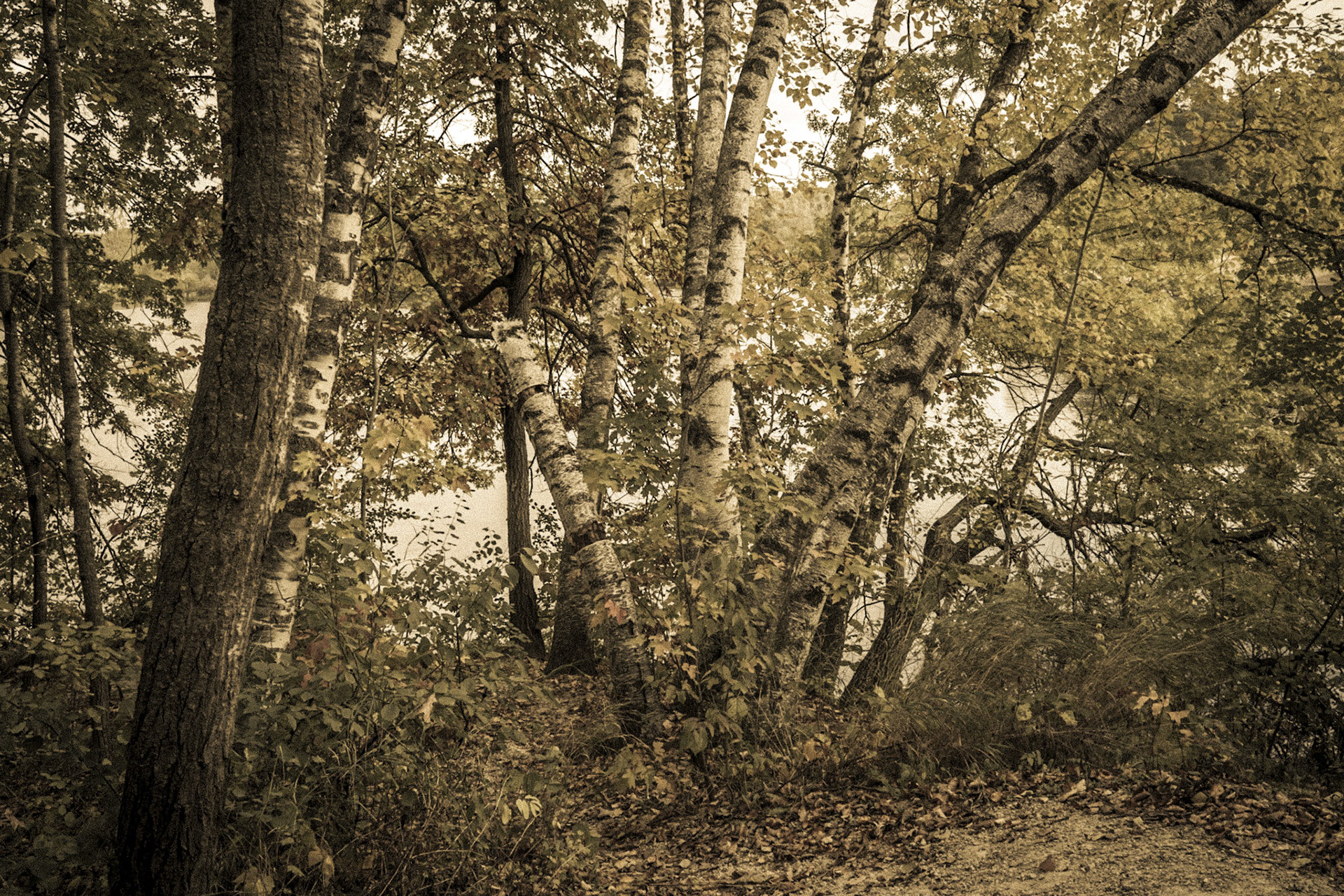 Leganon Hills Regional Park, Dakota County, Minnesota, 2025-4997