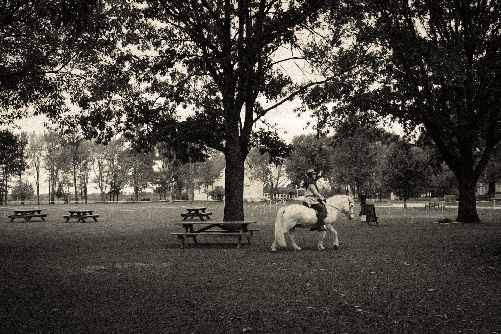 Viking Fest Minnesota, Dakota County Fairgrounds, 2025-5037