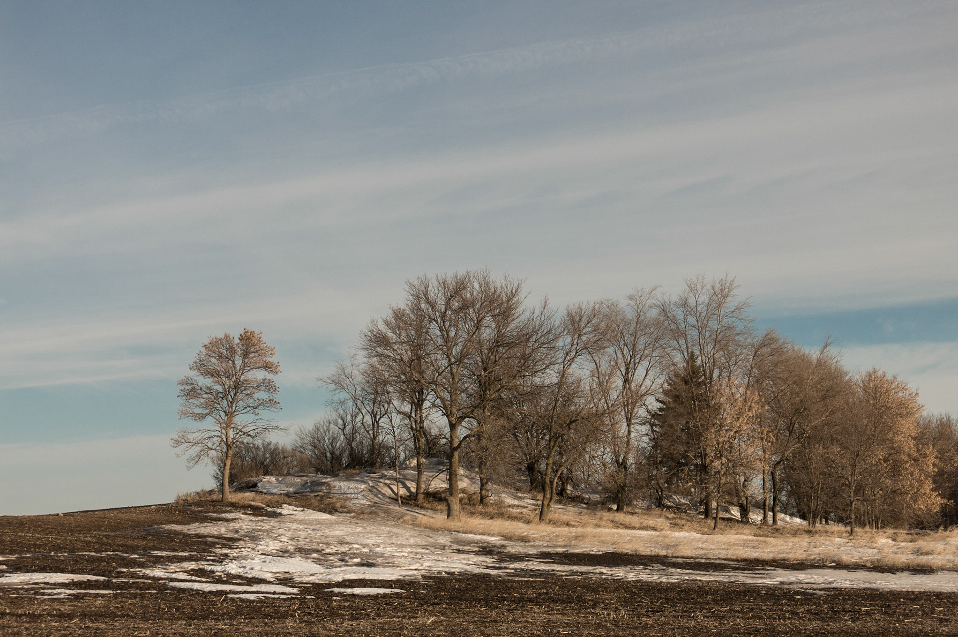 Minneota Township, Jackson County, MN