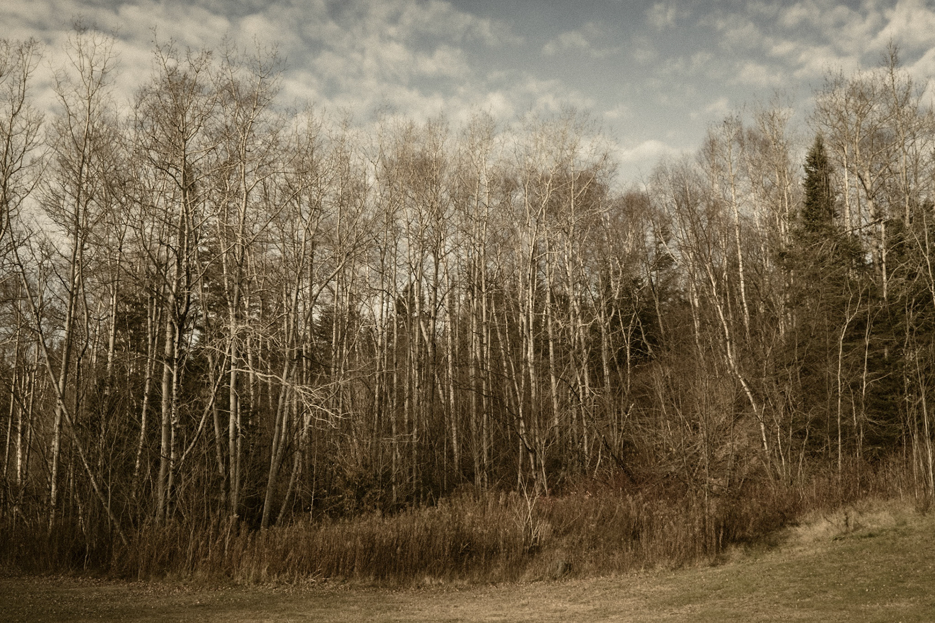 Grand Marais Sledding Hill, Grand Marais, Minnesota