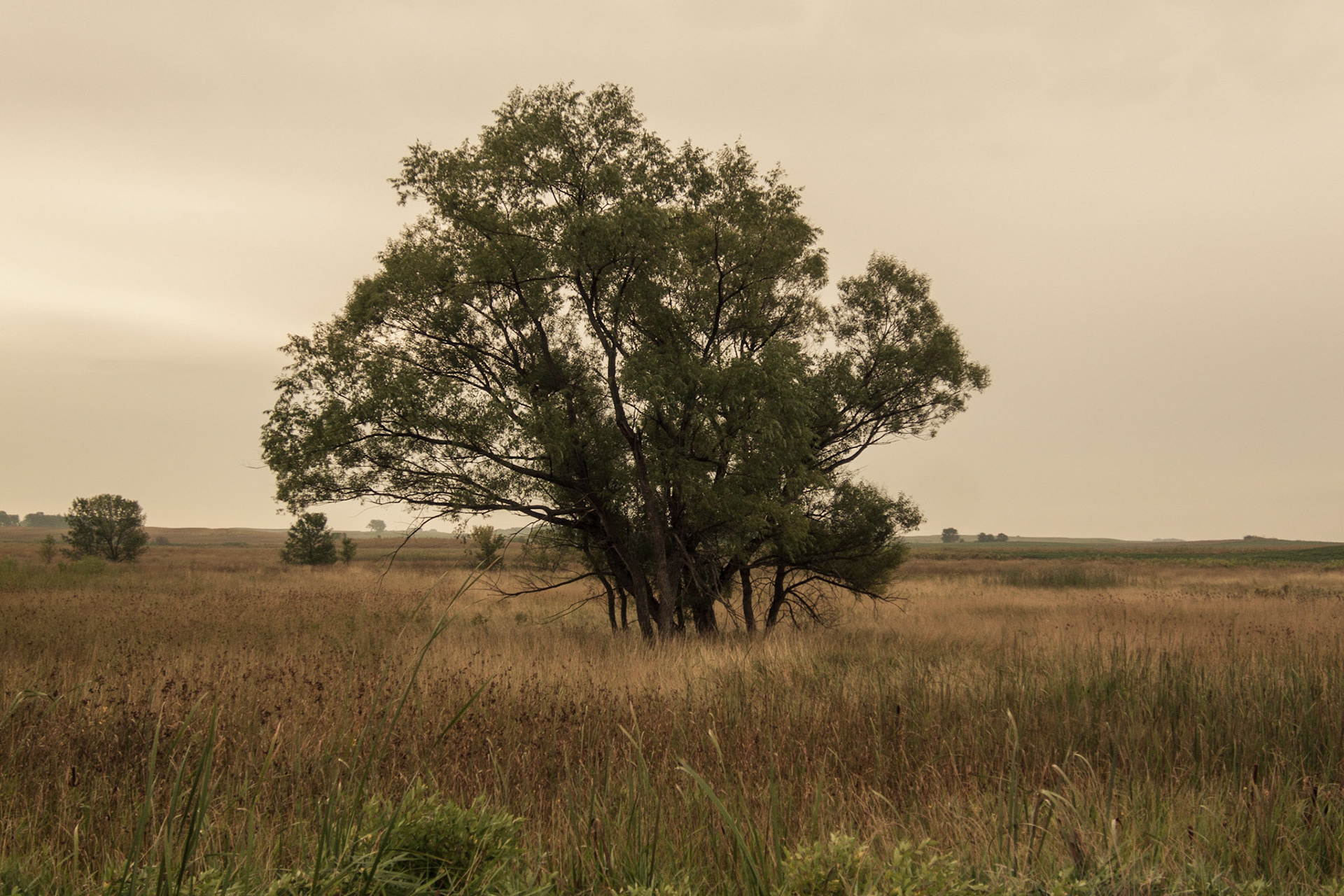 Minneota Township, Jackson County, Minnesota