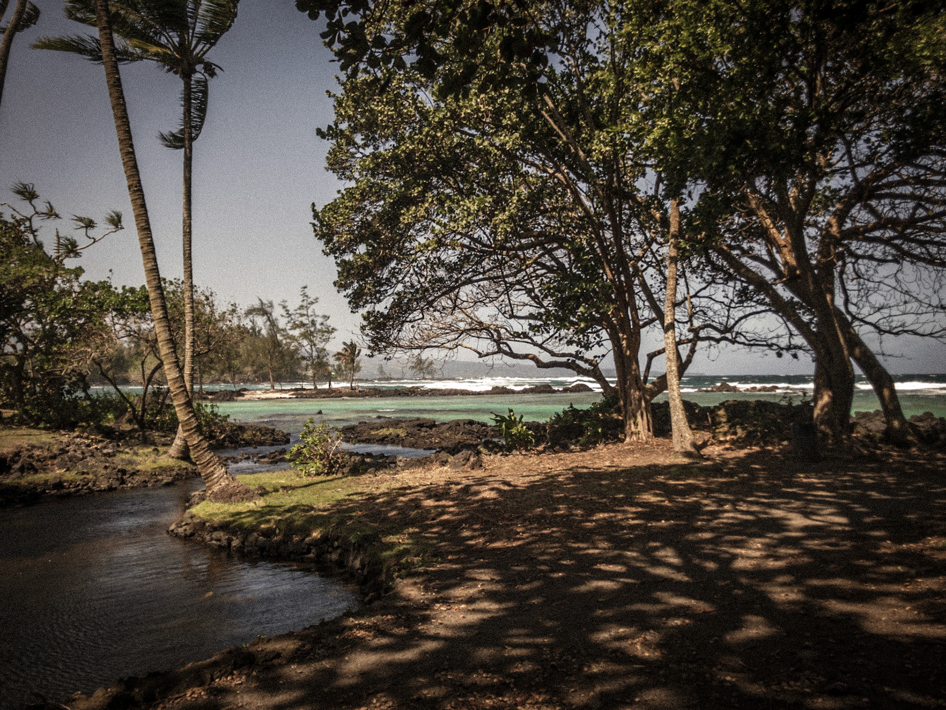 Carlsmith Beach Park, Hilo, 2018-1109