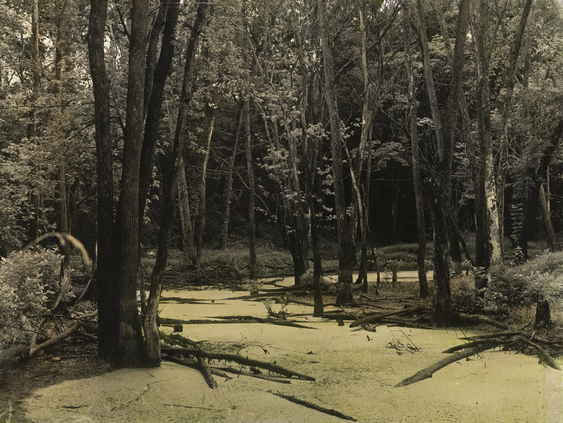 George Wyth State Park, Waterloo, Iowa