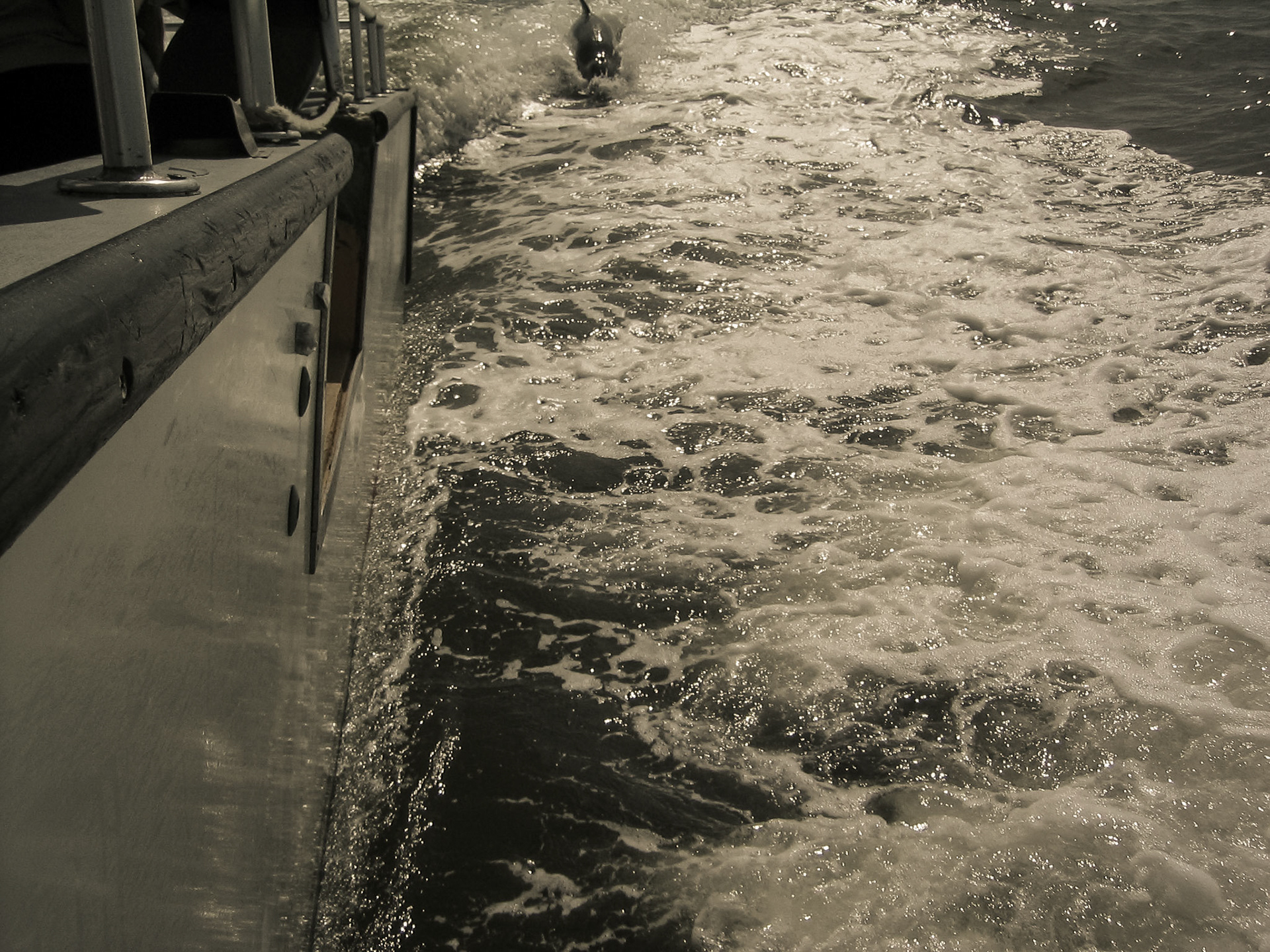 Ferry to Key West from Fort Myers, Florida