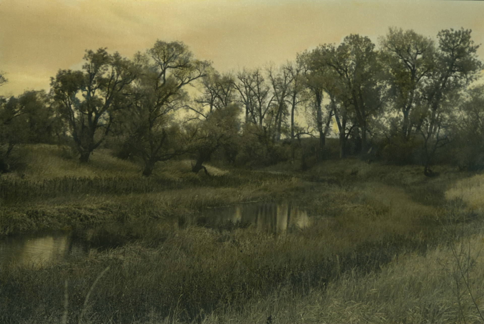 Elm River, South Dakota