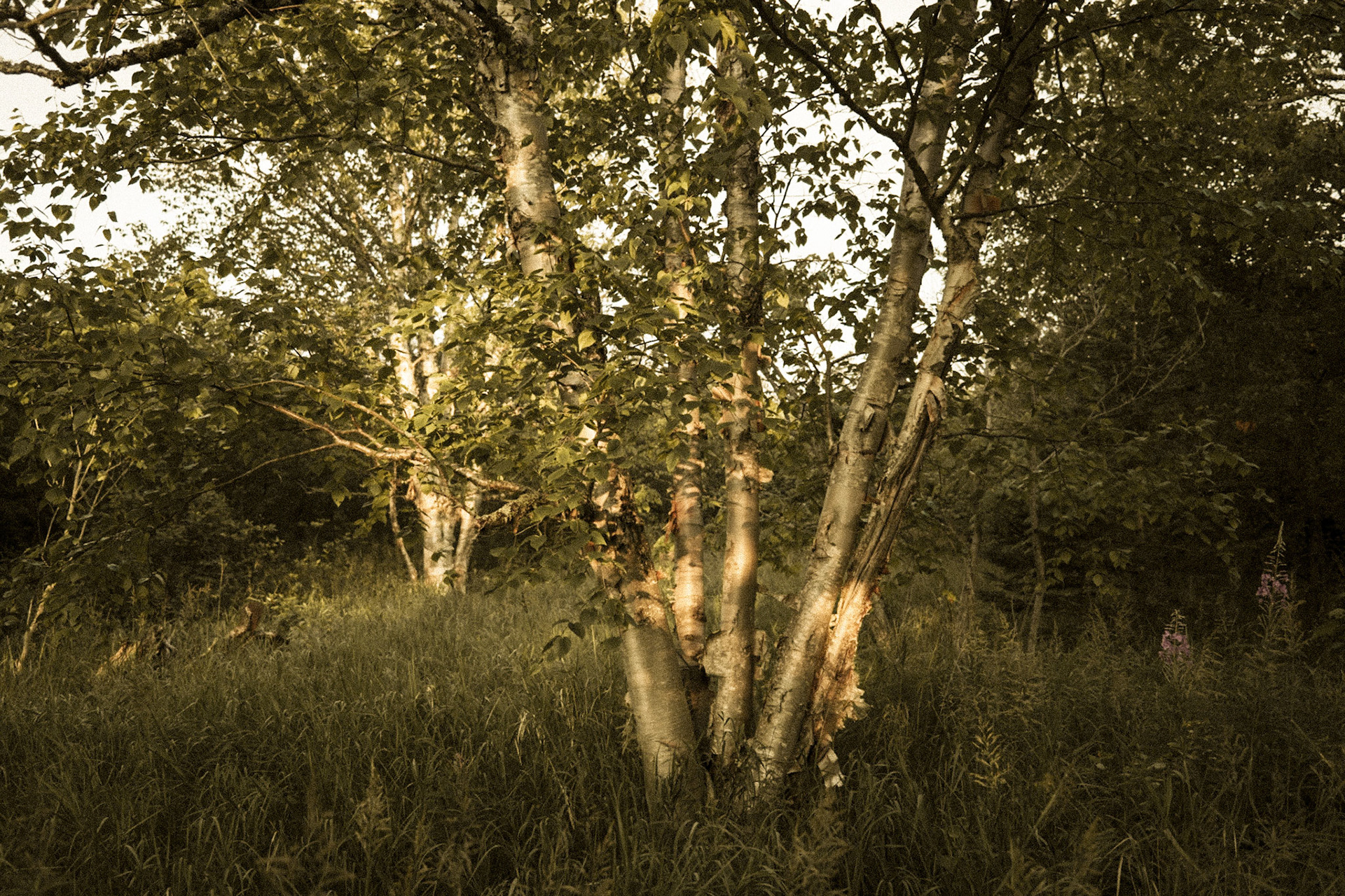 Mile Marker 121.7, North Shore