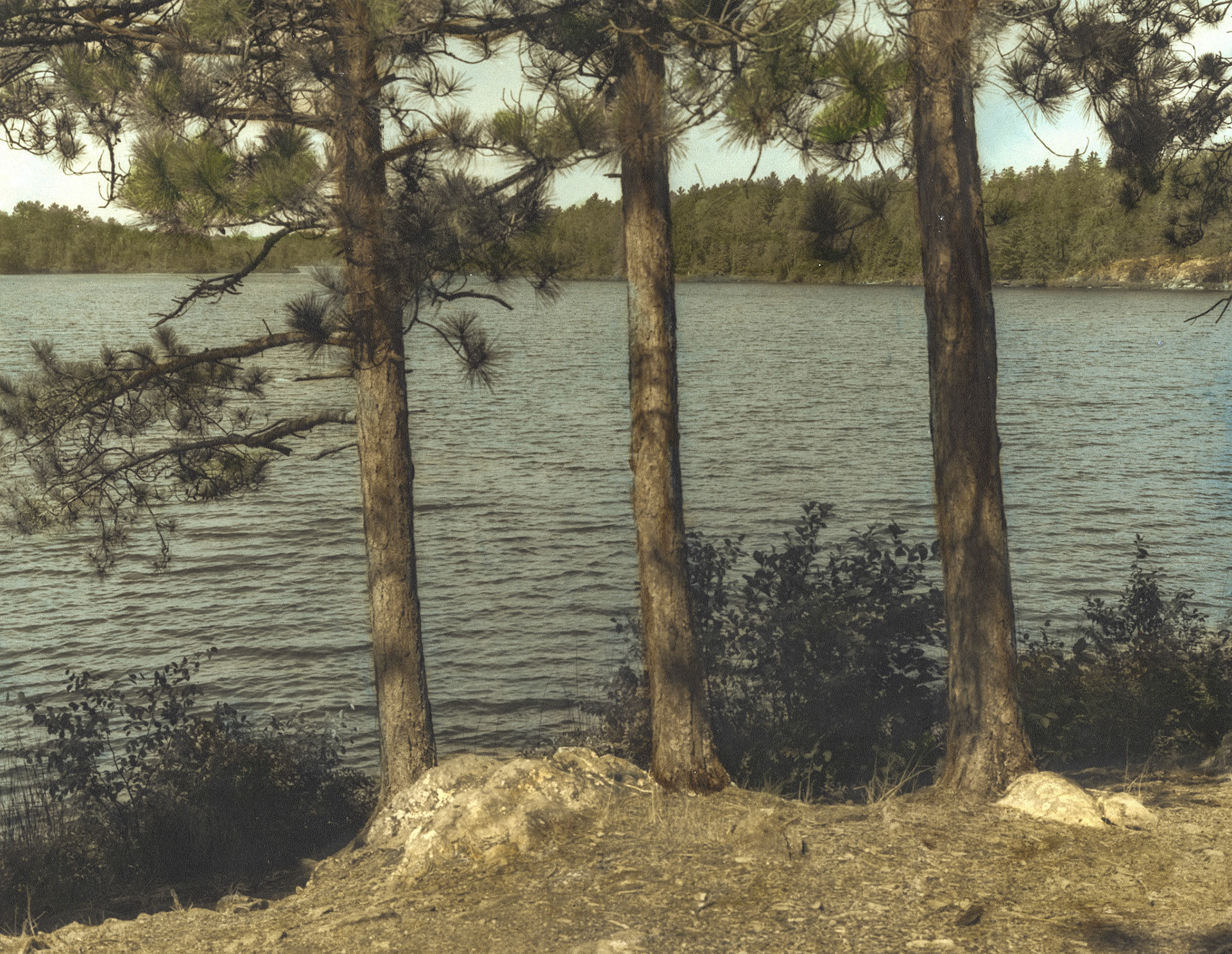 Mud Lake, south of Ely, Minnesota, Hand-Colored Silver Print, 2002-16-47