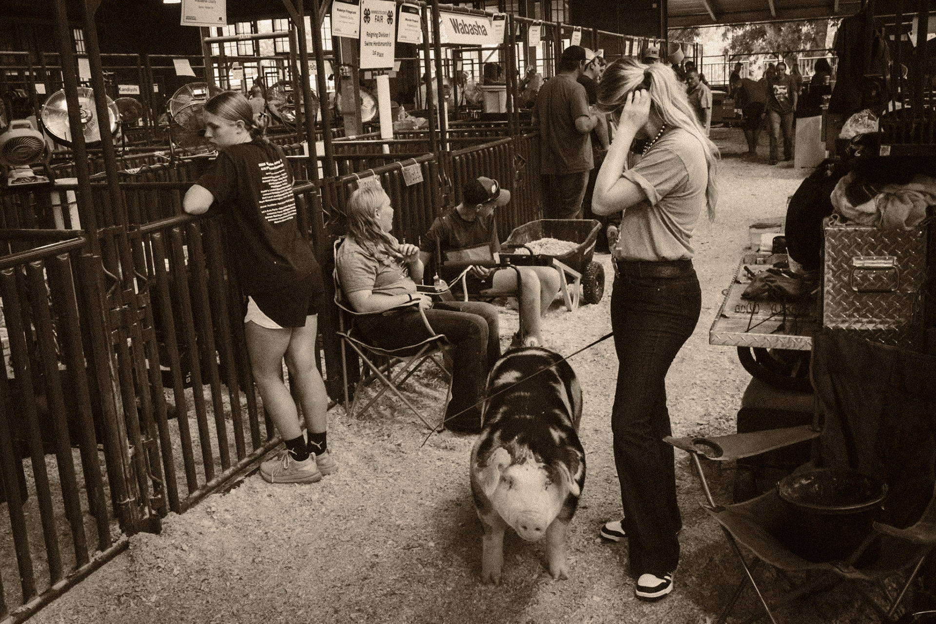 Minnesota State Fair