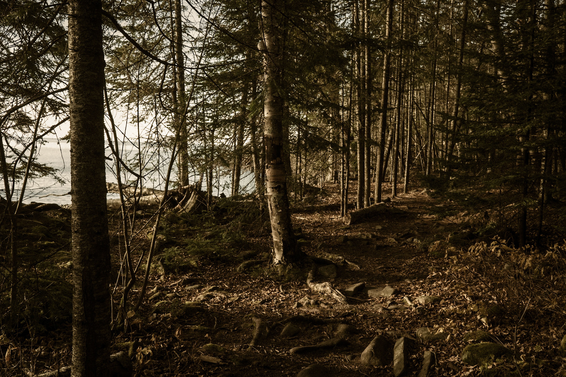 Lake Loop Nature Trail, Grand Marais, Minnesota