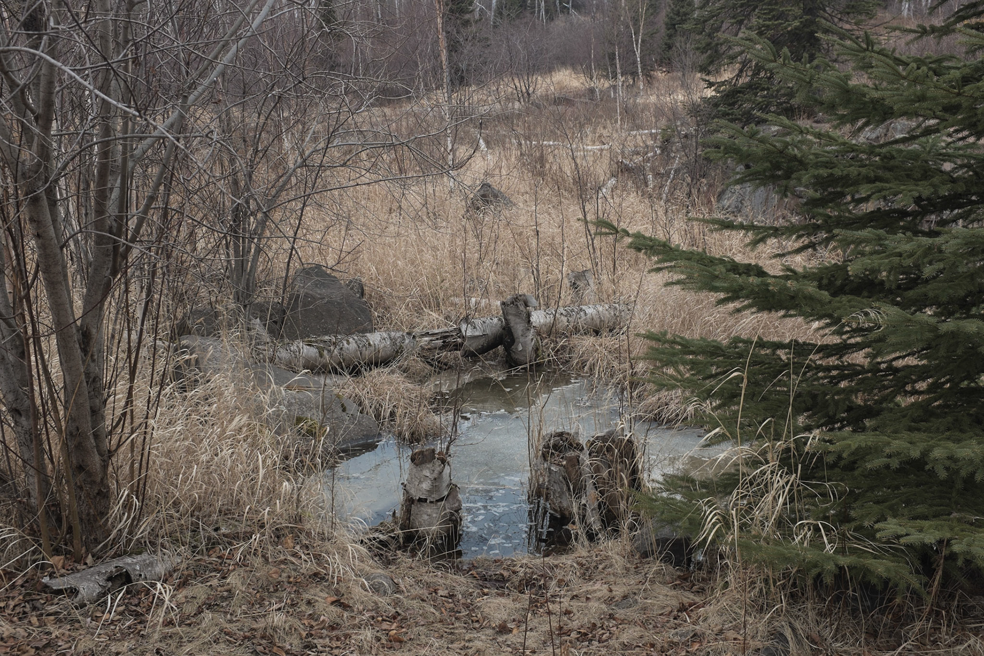 Beaver Bay, Minnesota