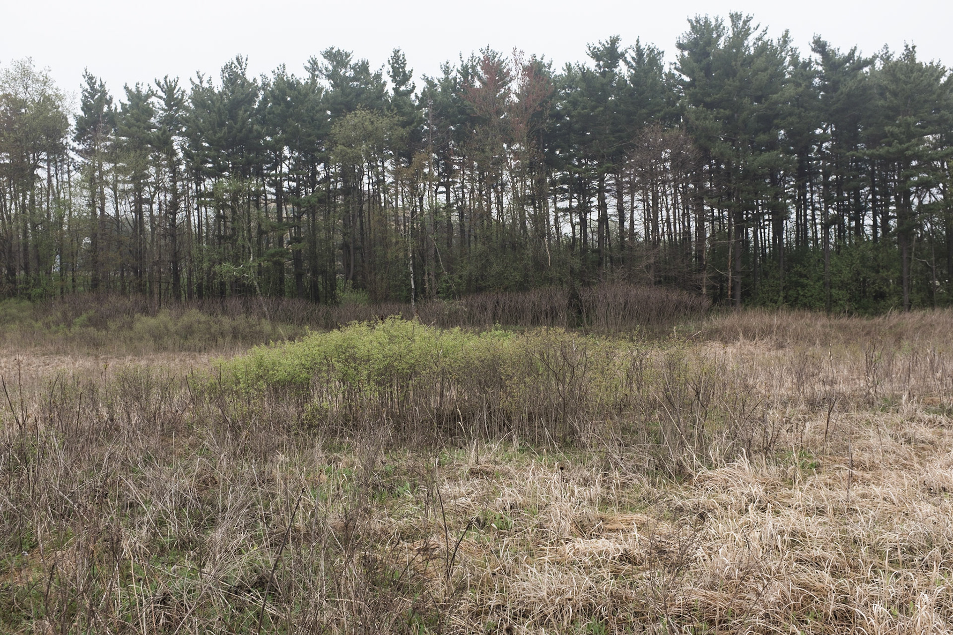 University of Wisconsin Arboretum, Madison, WI