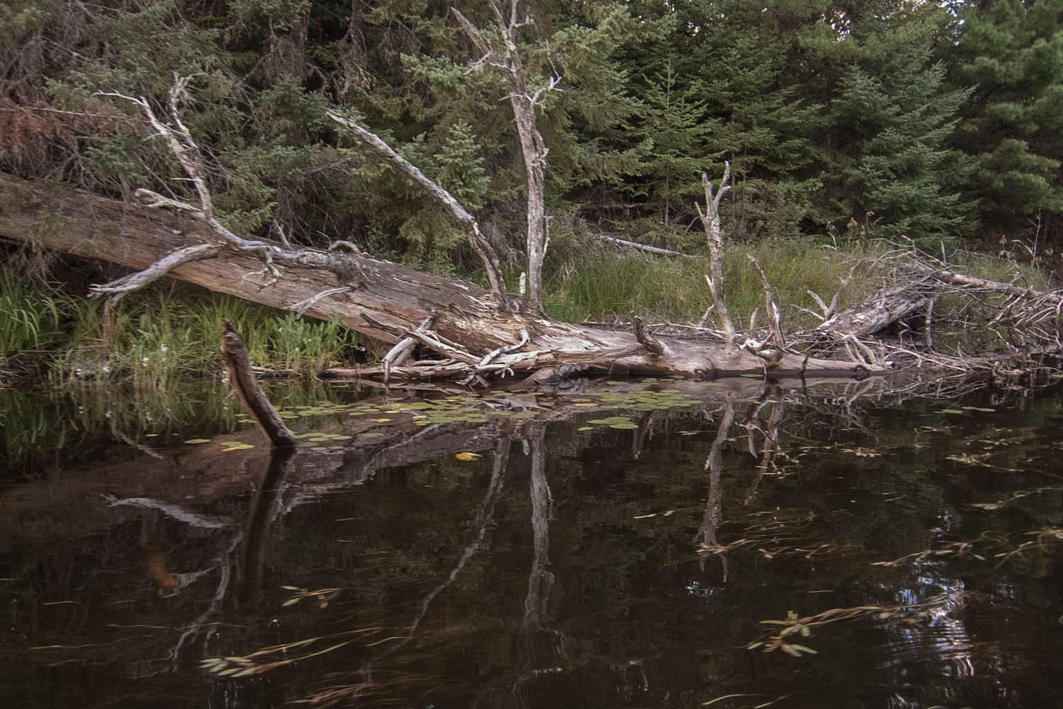 Lake One, Bourndary Waters Wilderness, MN