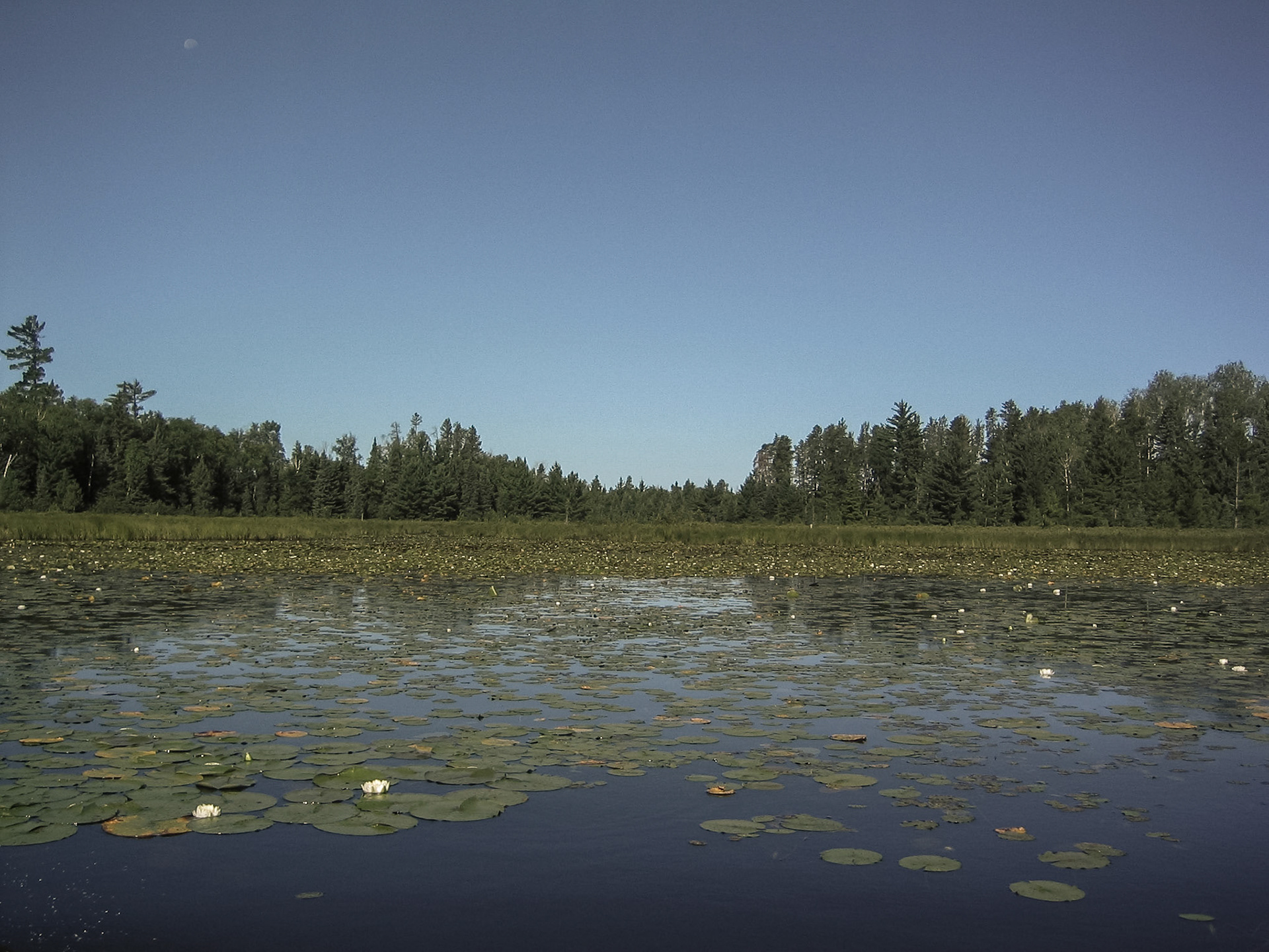 Lake One, Boundary Waters Canoe Area, Minnesota