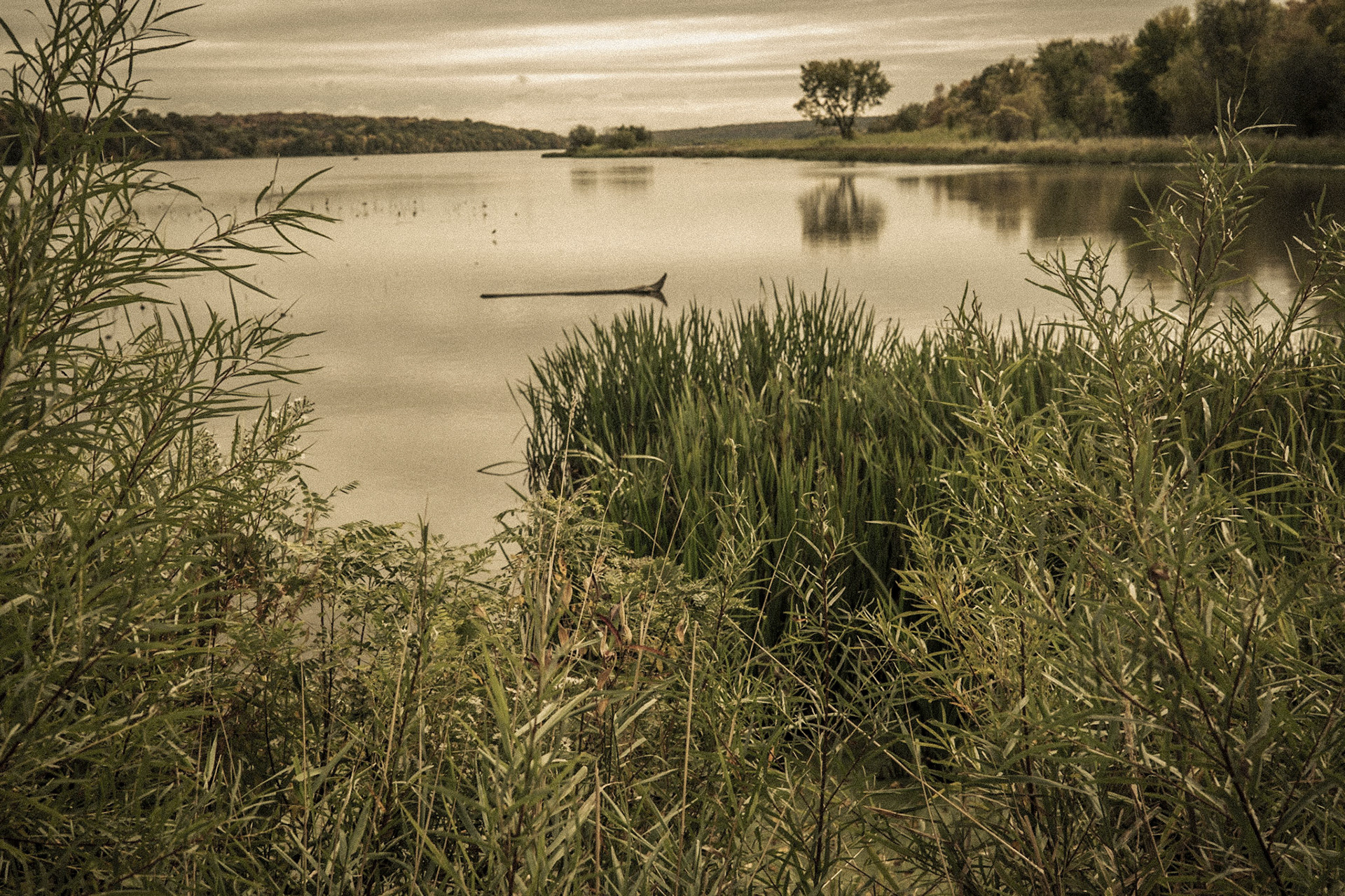 Hazen P. Mooers Park, Cottage Grove, Minnesota