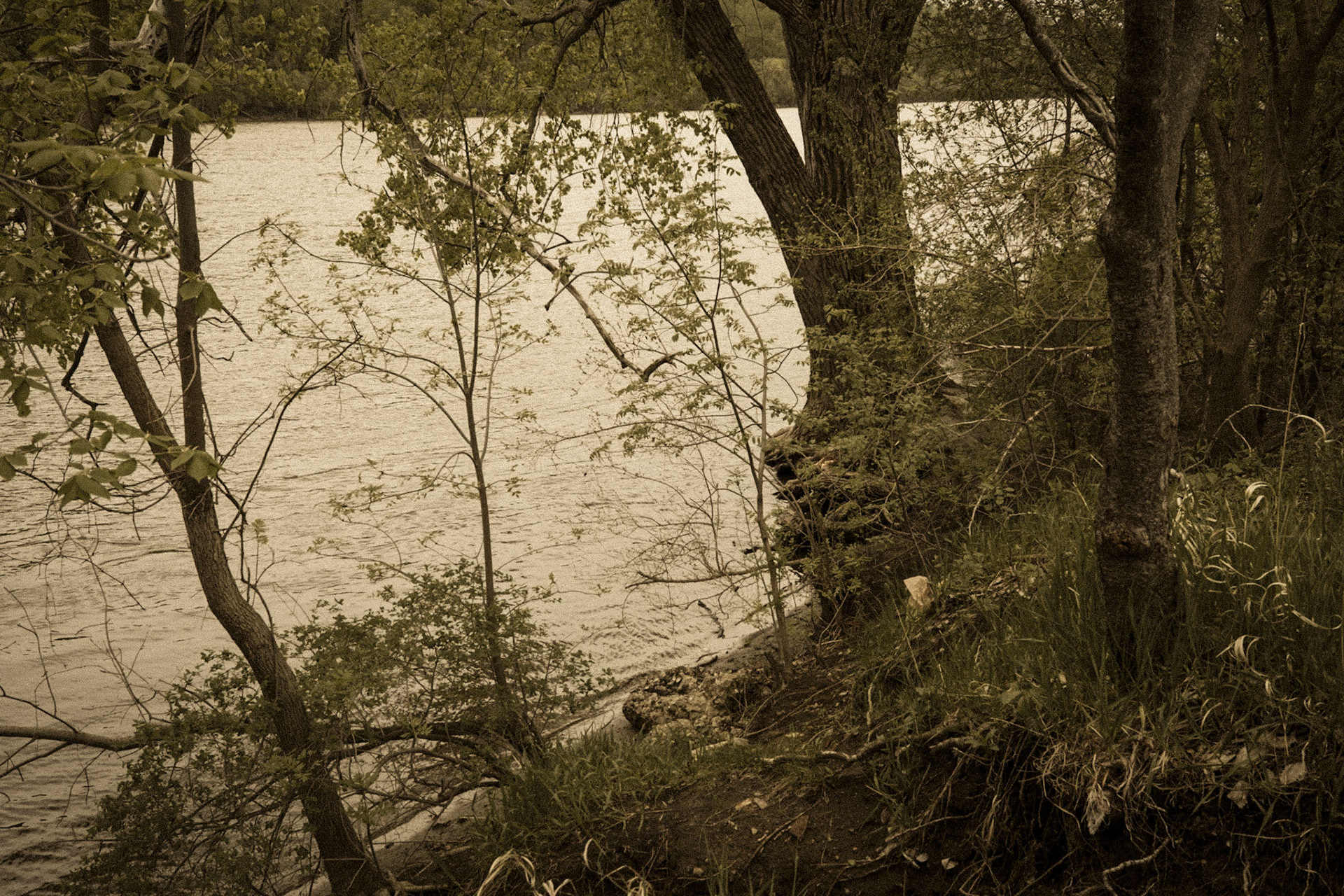 Mississippi National River Area, St. Paul, MN